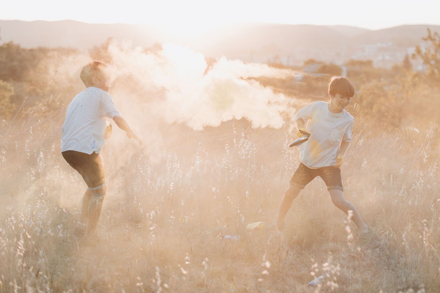 Dog running and playing through a field at sunset with a golden sepia-toned atmosphere.