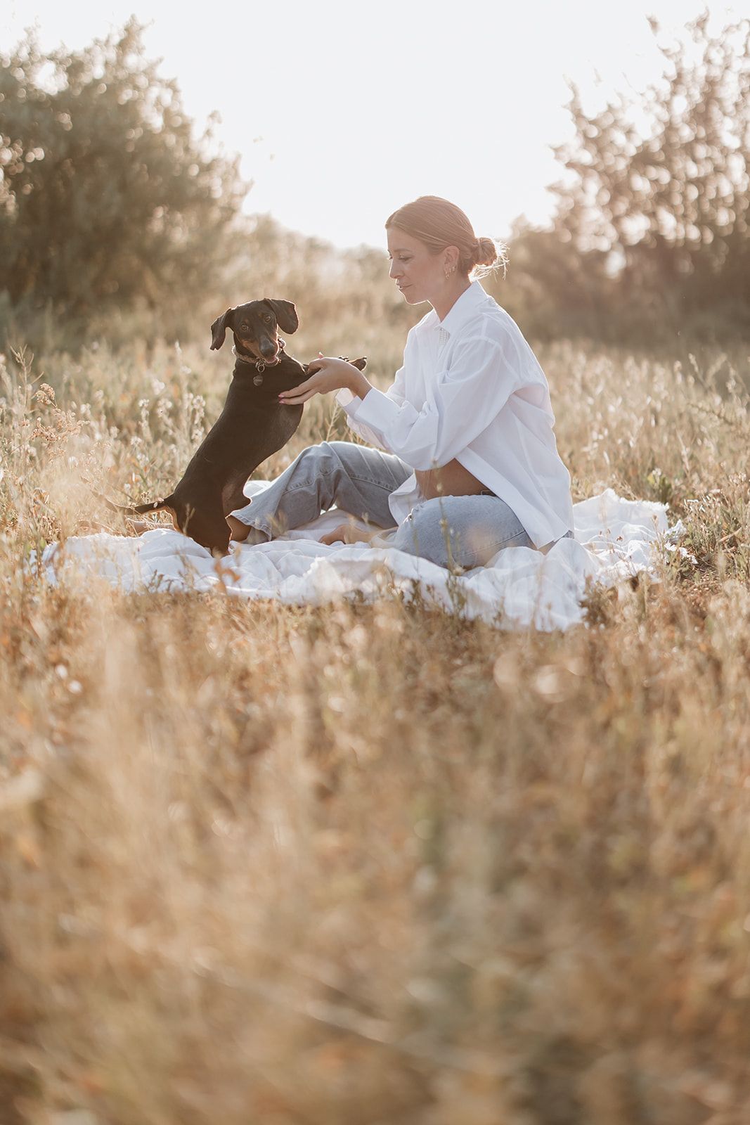 A sunset maternity photo showing playful interaction with a small dog in tall grass.
