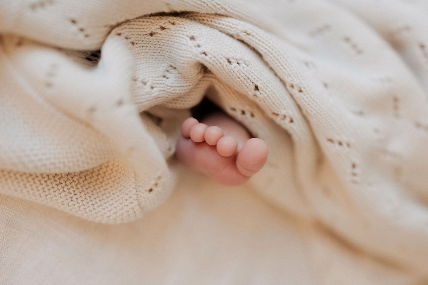 Newborn baby feet wrapped in soft white knitted blanket showing tiny toes in natural light.