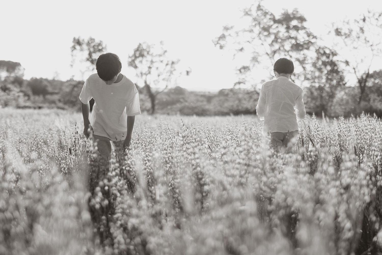 Two people in white shirts stand among tall wildflowers in a dreamy black and white countryside scene.