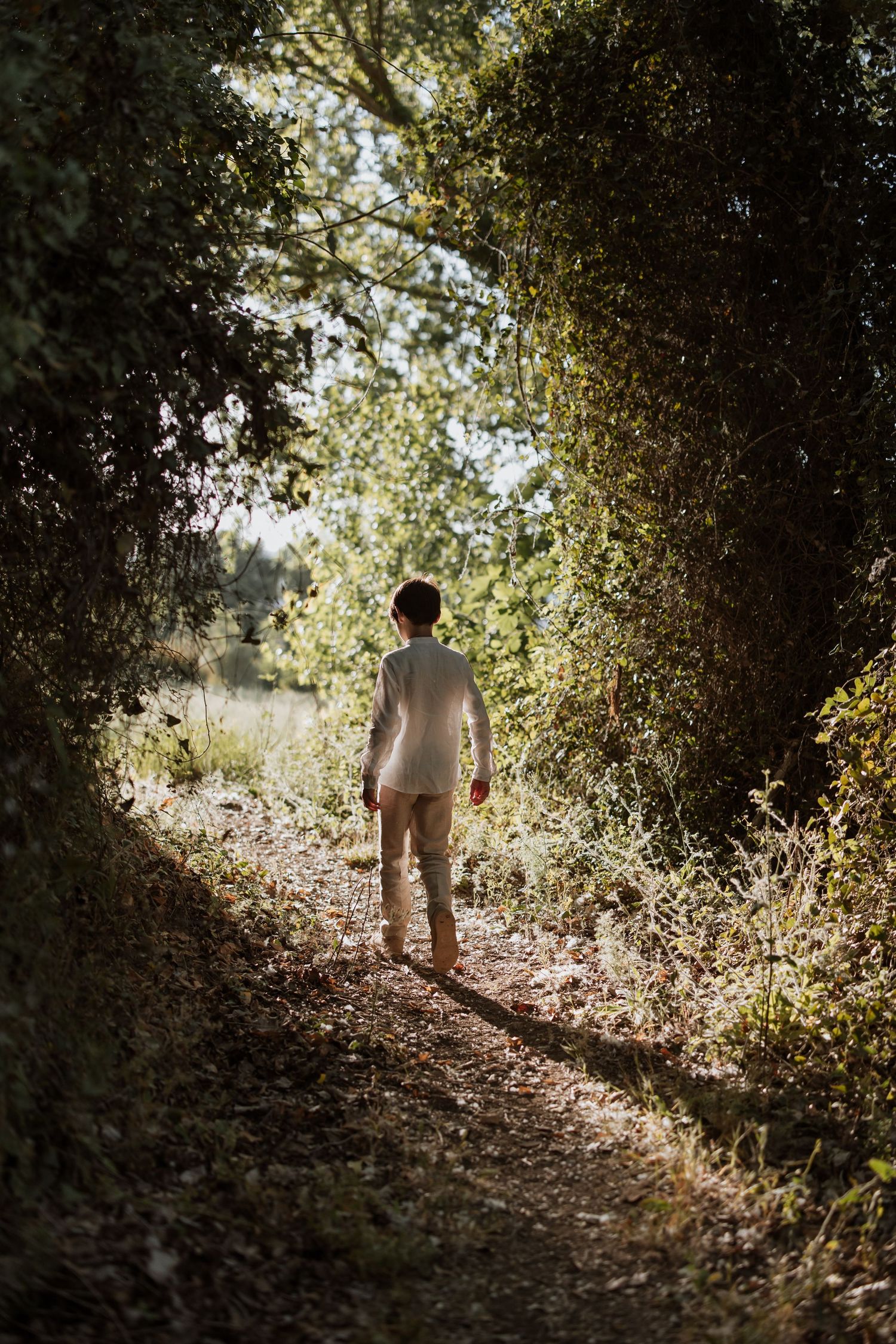 A silhouetted figure walks alone on a sunlit forest path surrounded by lush greenery and dappled light.