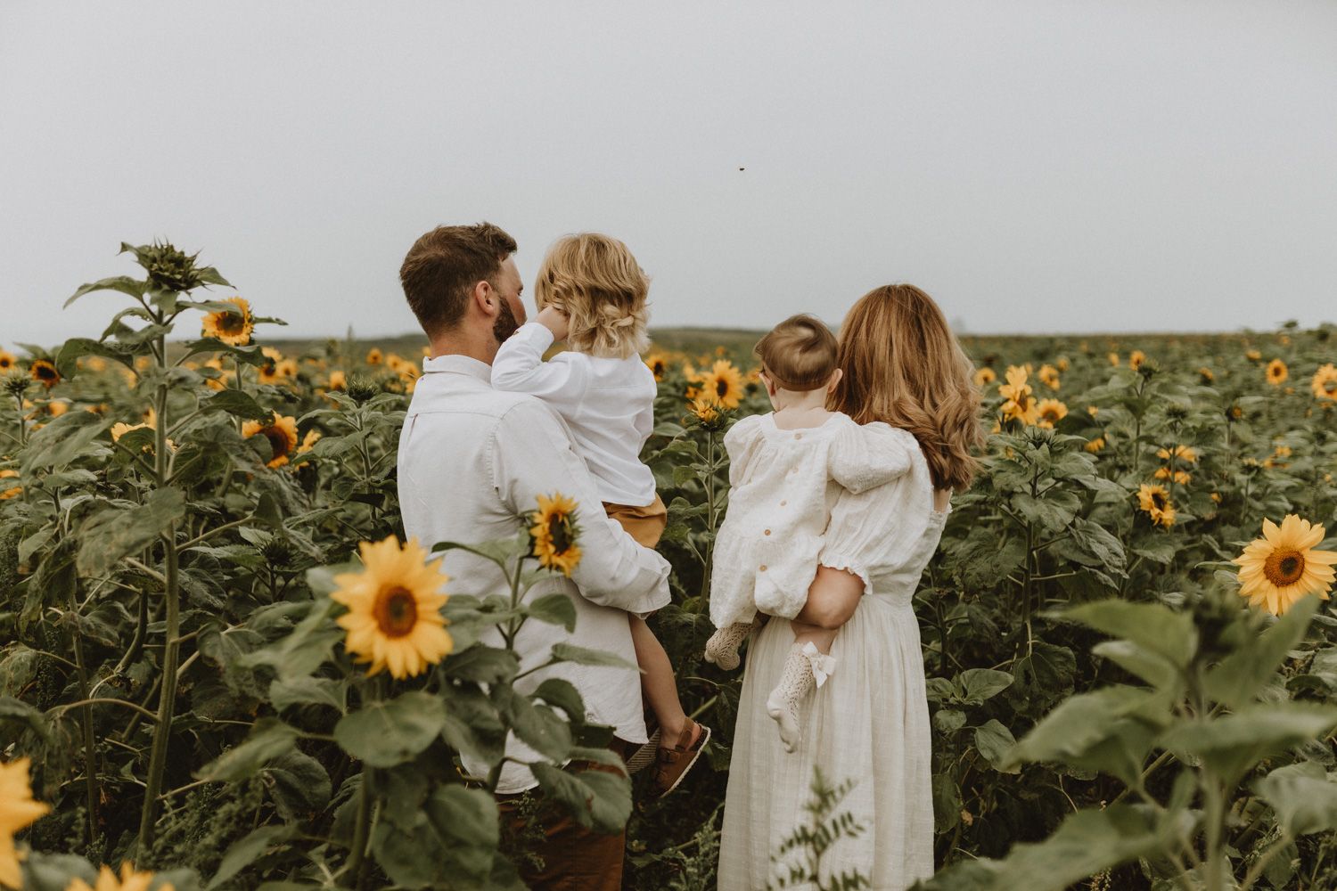 Family enjoying a tender moment together in a blooming sunflower field at sunset.
