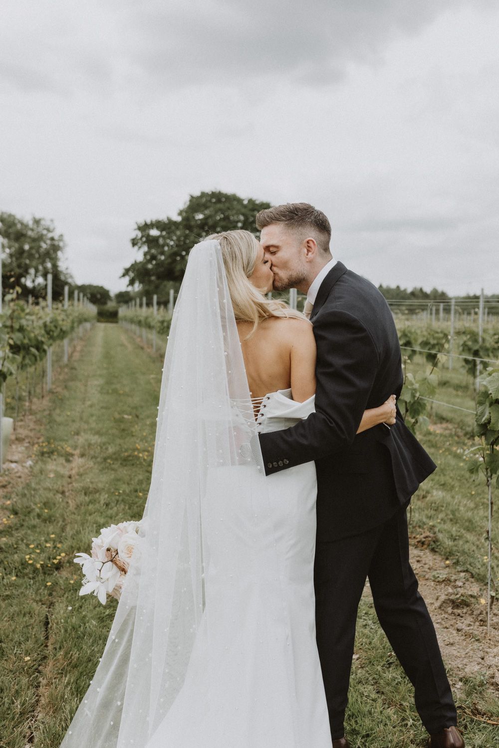 Romantic wedding photos in vineyard rows.