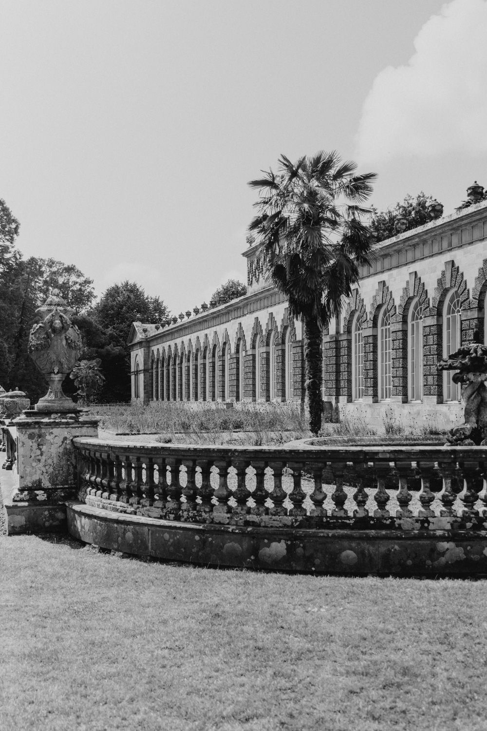 Black and white photograph of a historic building with arched windows and palm trees.