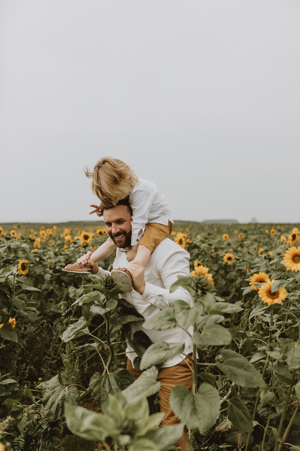 Playful piggyback ride through tall sunflower stalks on cloudy day.