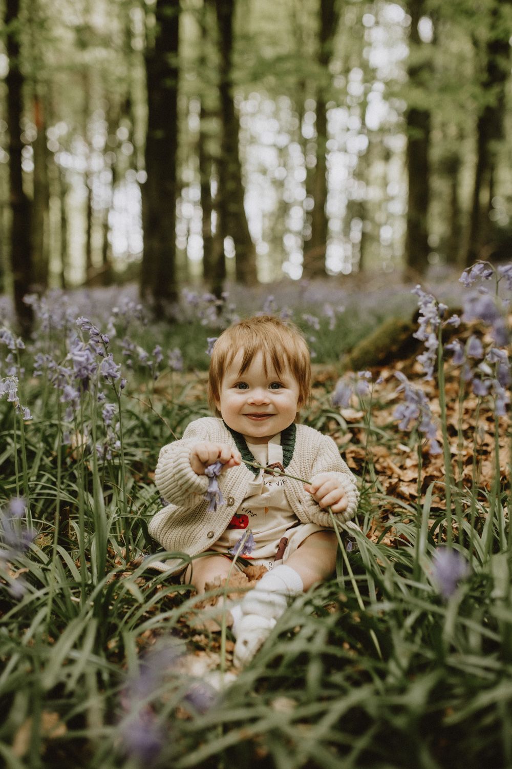 Toddler in cream sweater playing among purple bluebells in spring forest.