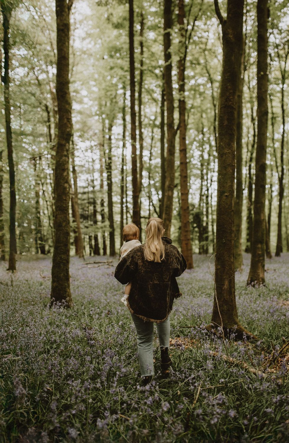 Someone walking through a misty forest filled with purple wildflowers and tall trees.