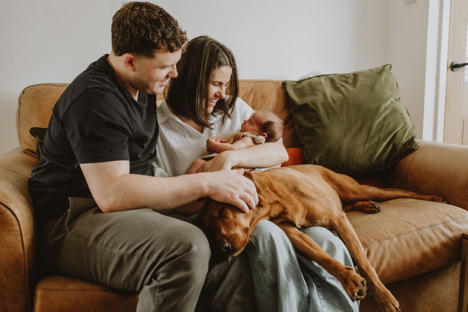 A brown dog relaxes on a tan leather couch while being petted by someone wearing jeans.