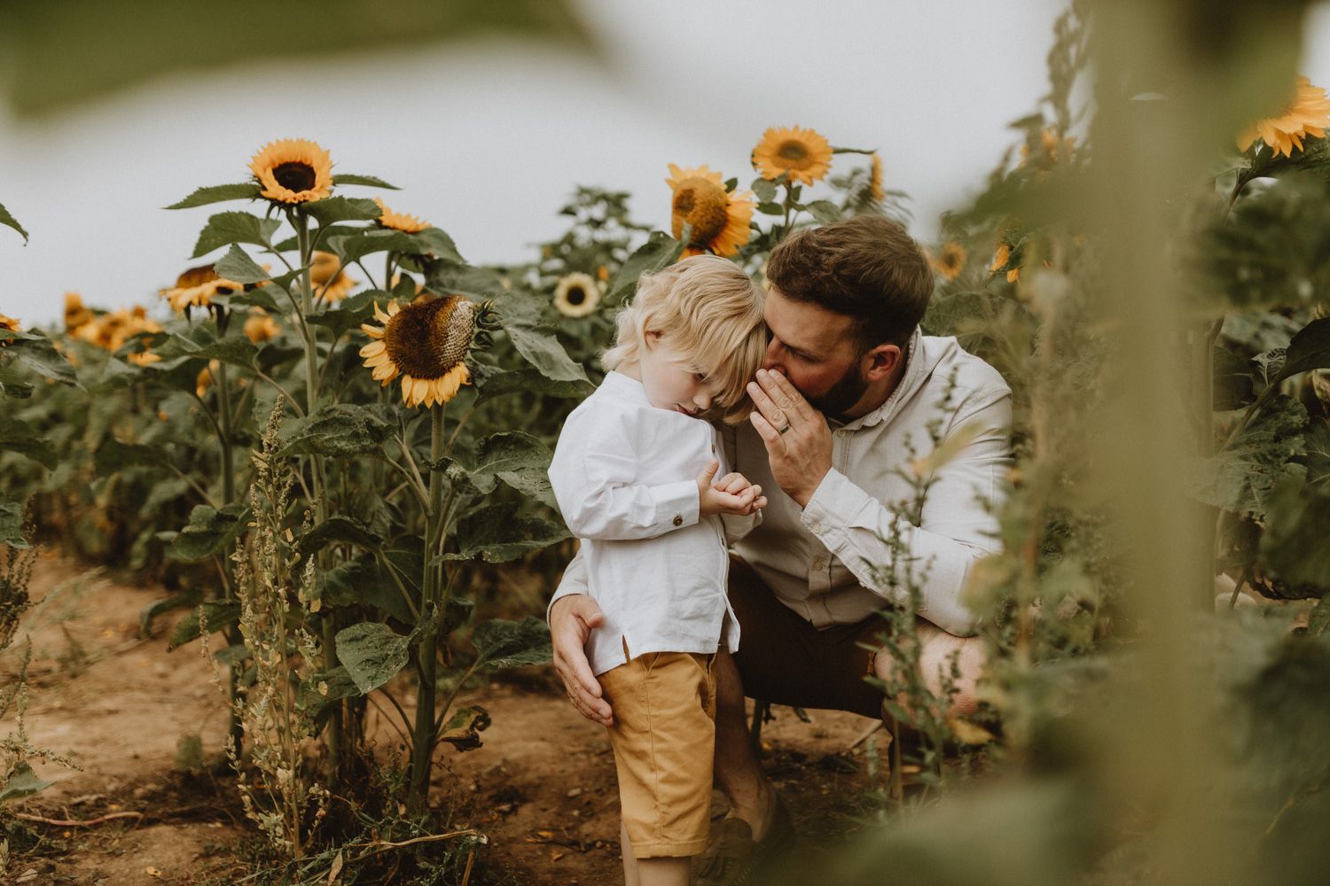 Intimate moment shared between two people kneeling in sunflower field path.