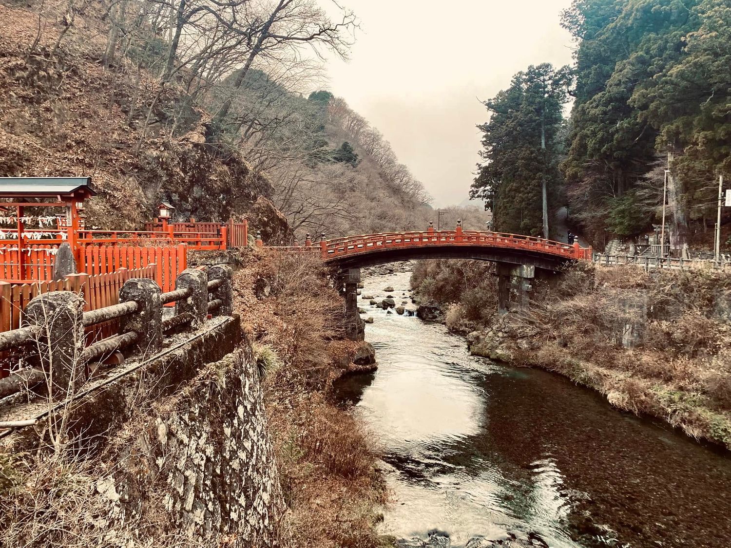 Nikko photo