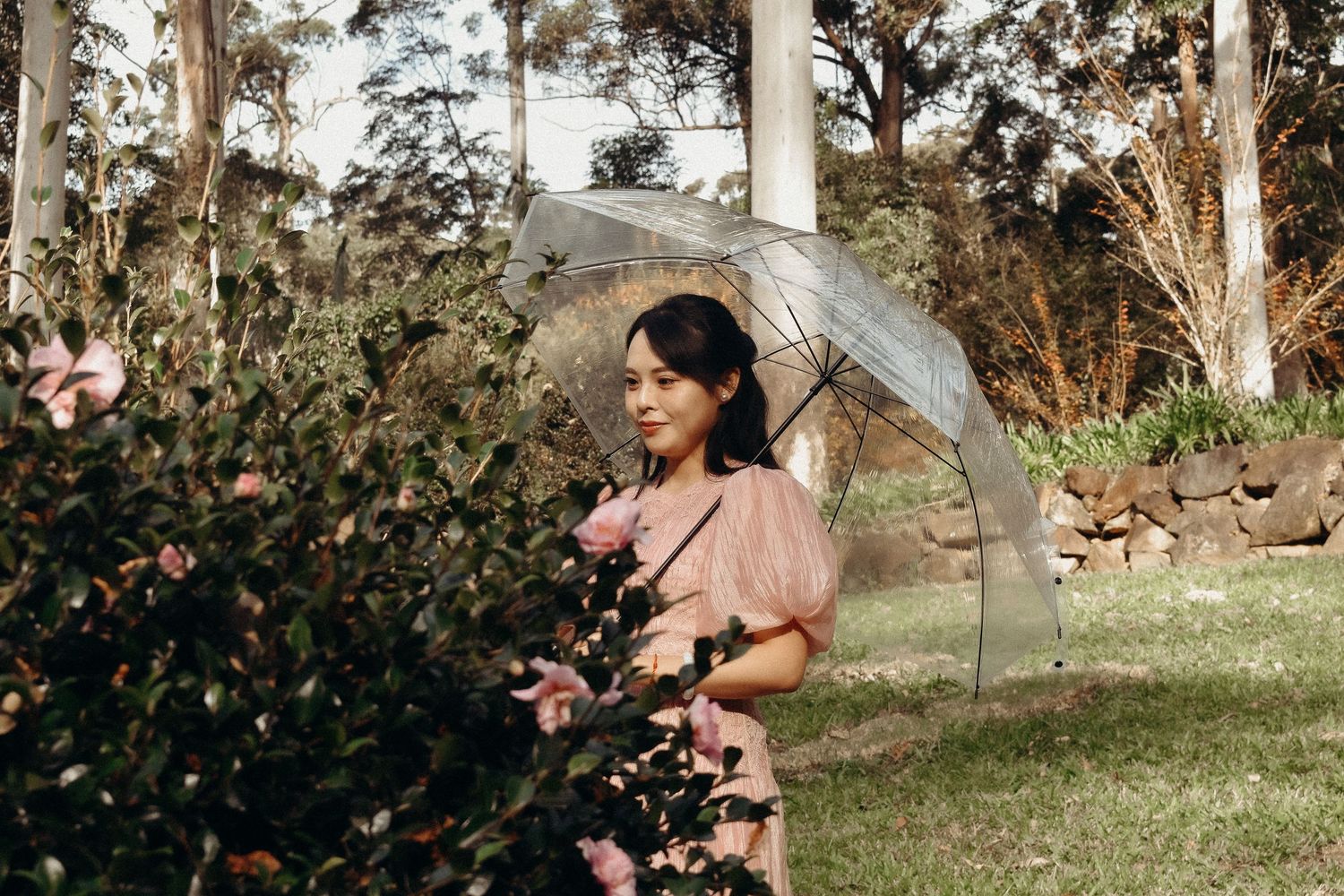Where Flowers & Wildlife Bloom photo