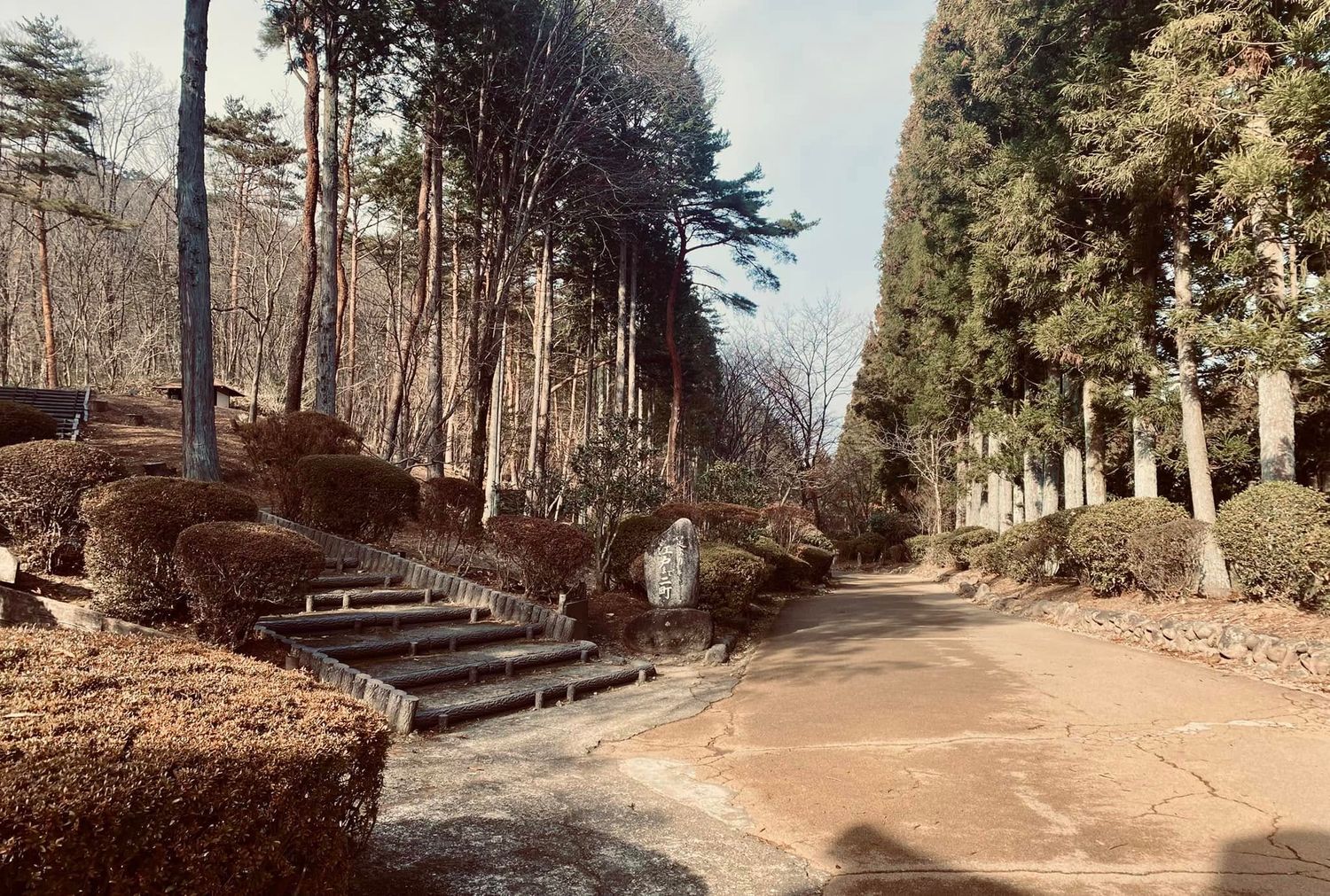 Nikko photo