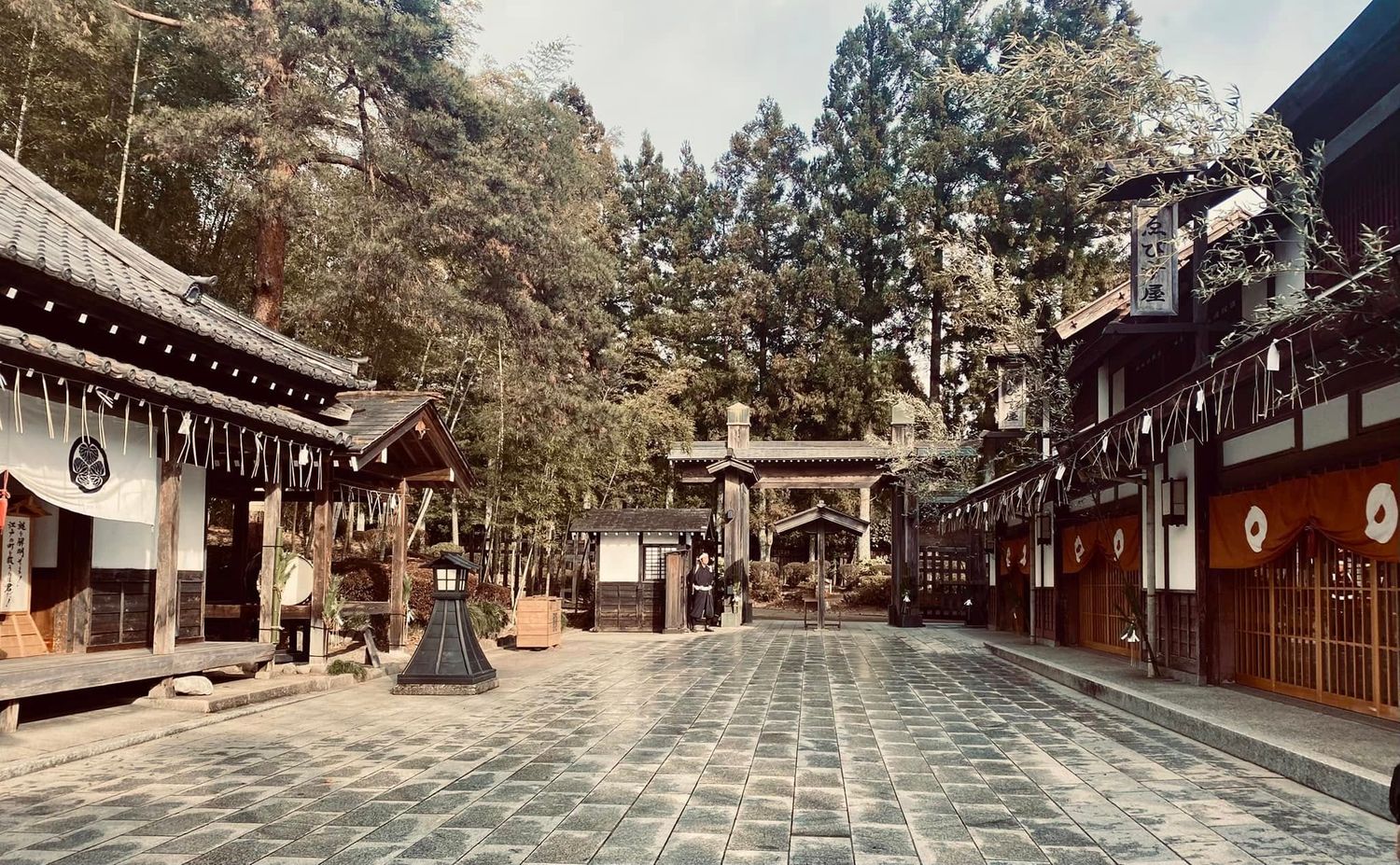 Nikko photo