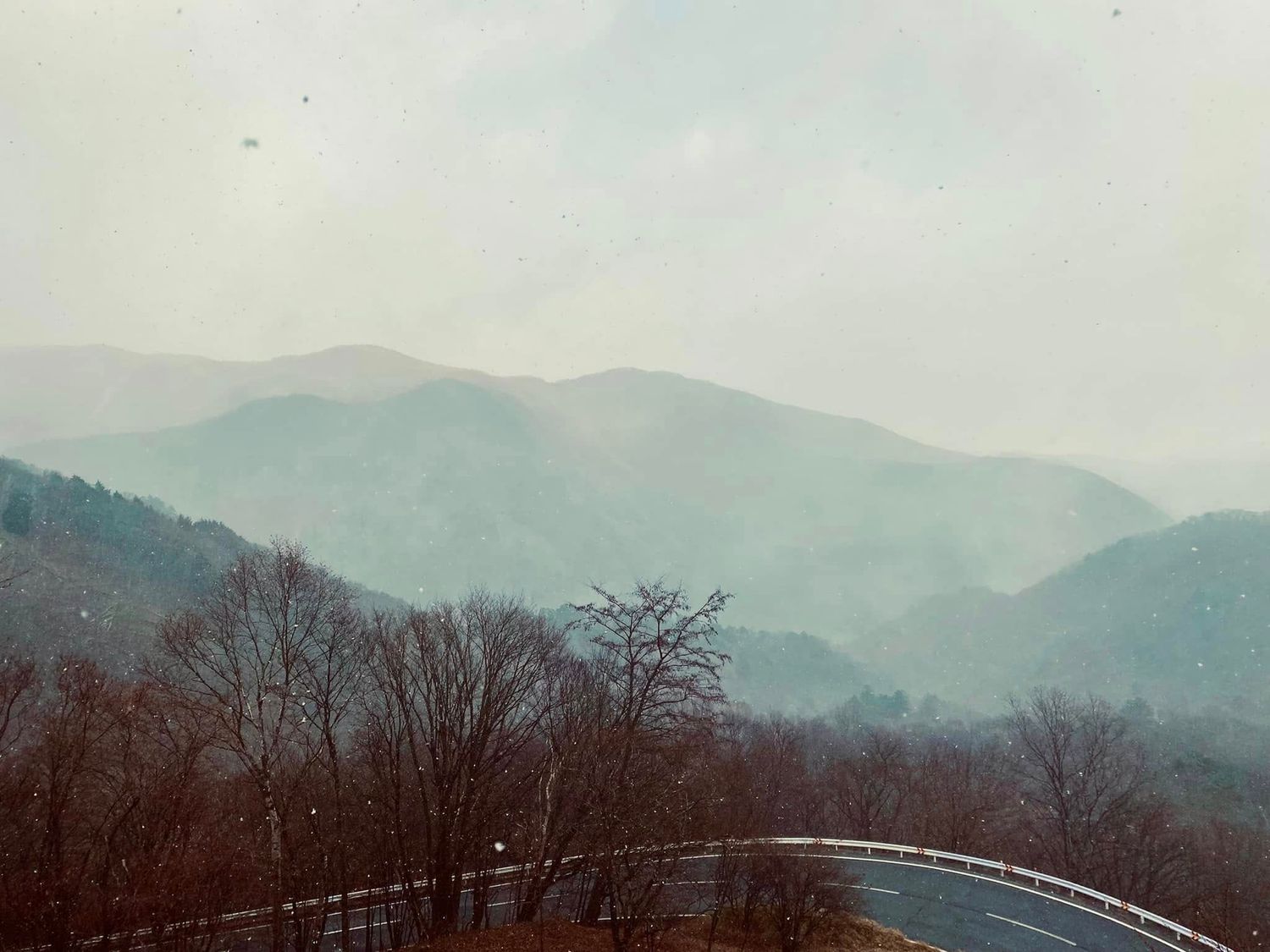 Nikko
