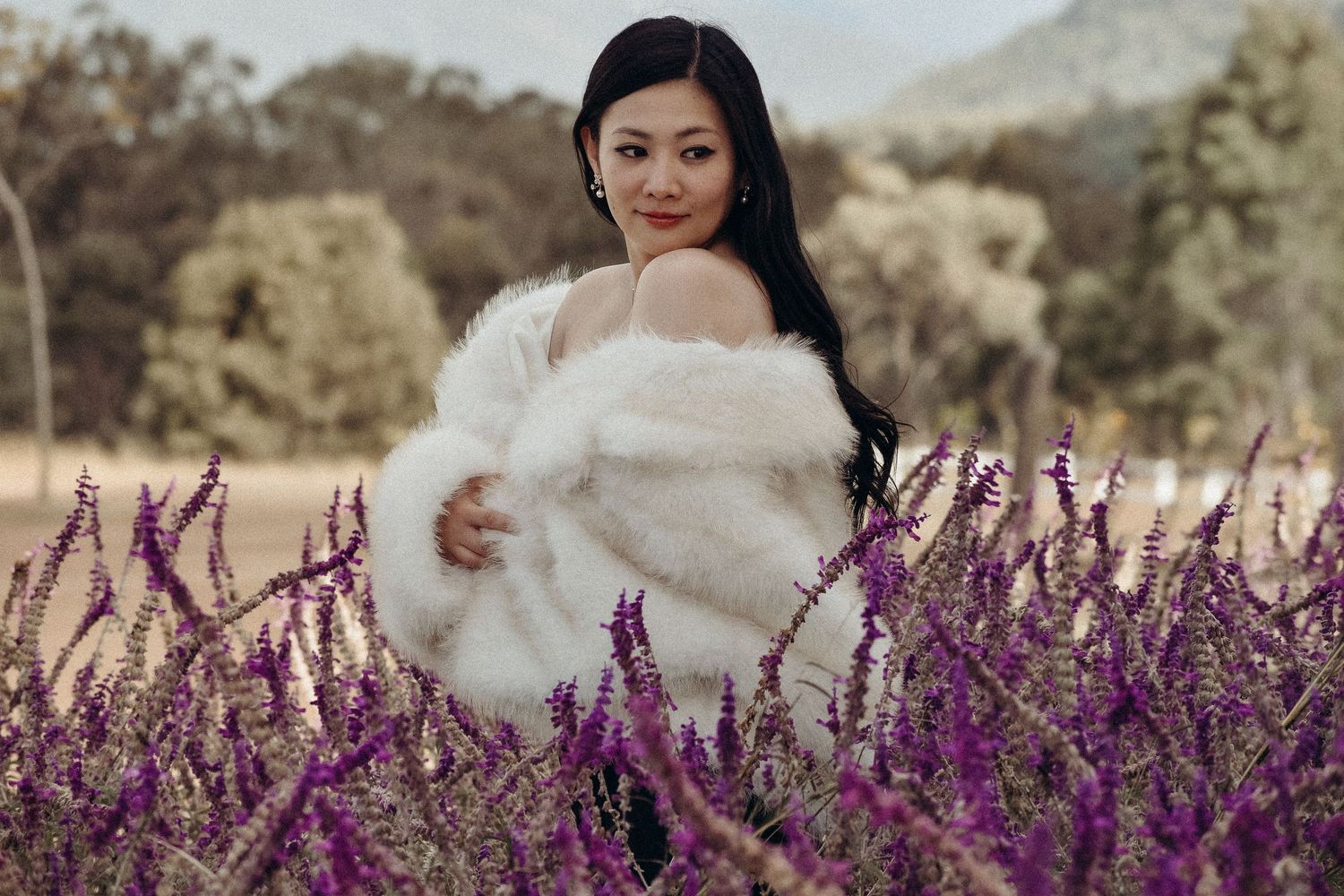 Lavender Fields