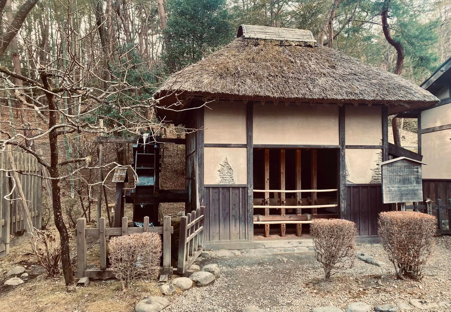 Nikko photo