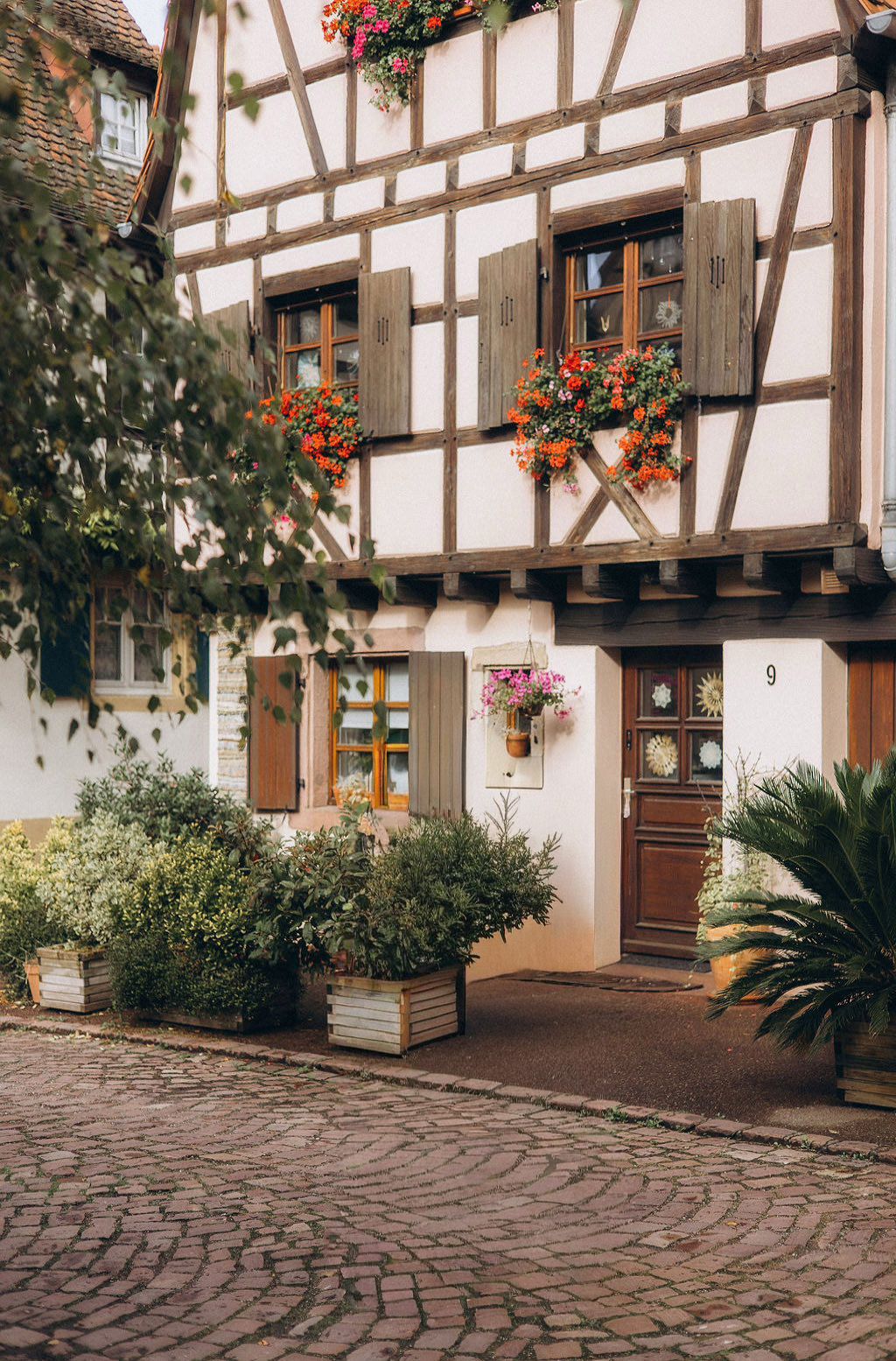Colmar photo