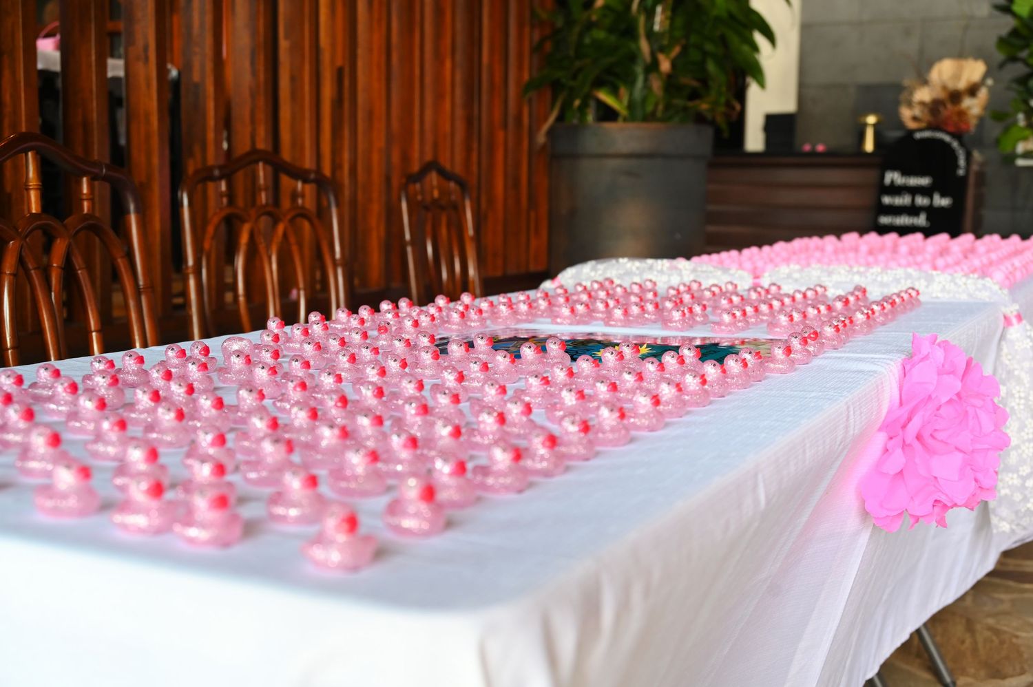 Hope in Pink photo
