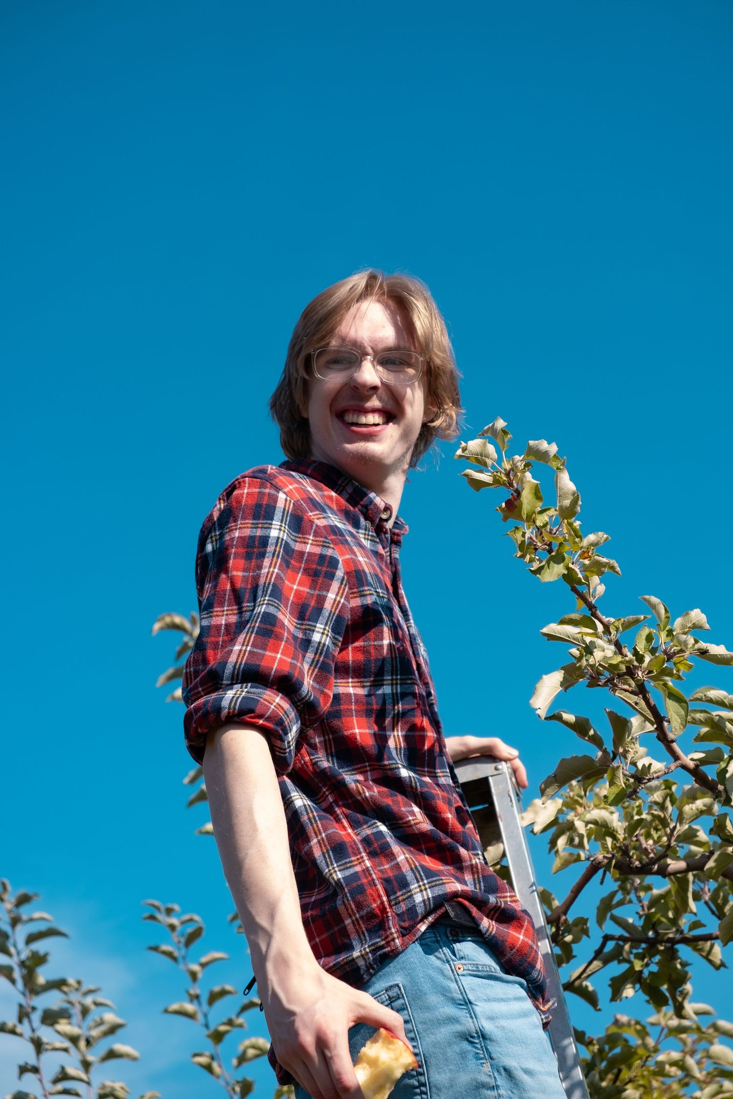 Person in plaid shirt and jeans smiles while picking fruit from a tree against bright blue sky.