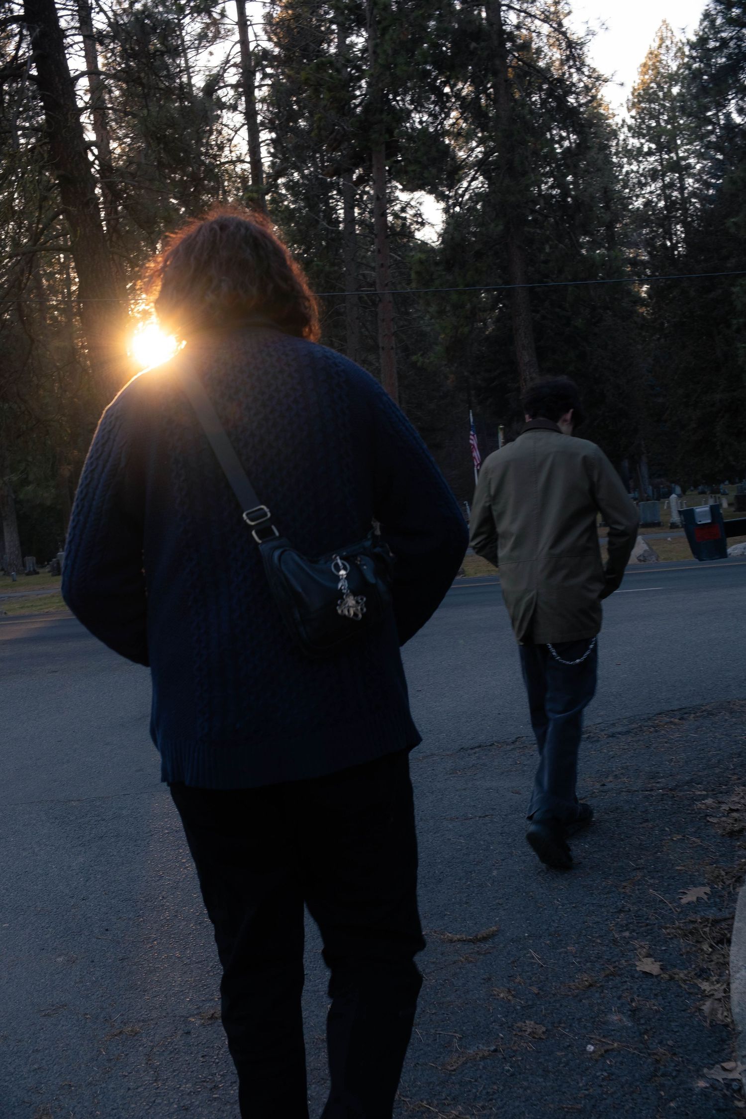 Silhouettes of people walking in a park at sunset with tall evergreen trees in the background.