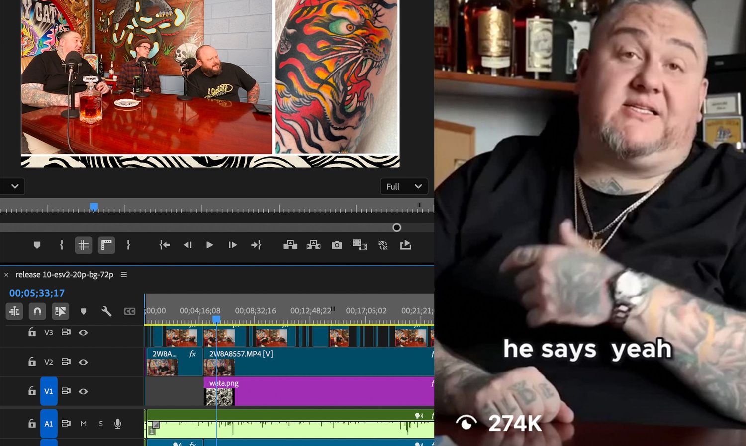 Screenshot of video editing software with timeline tracks and preview window.