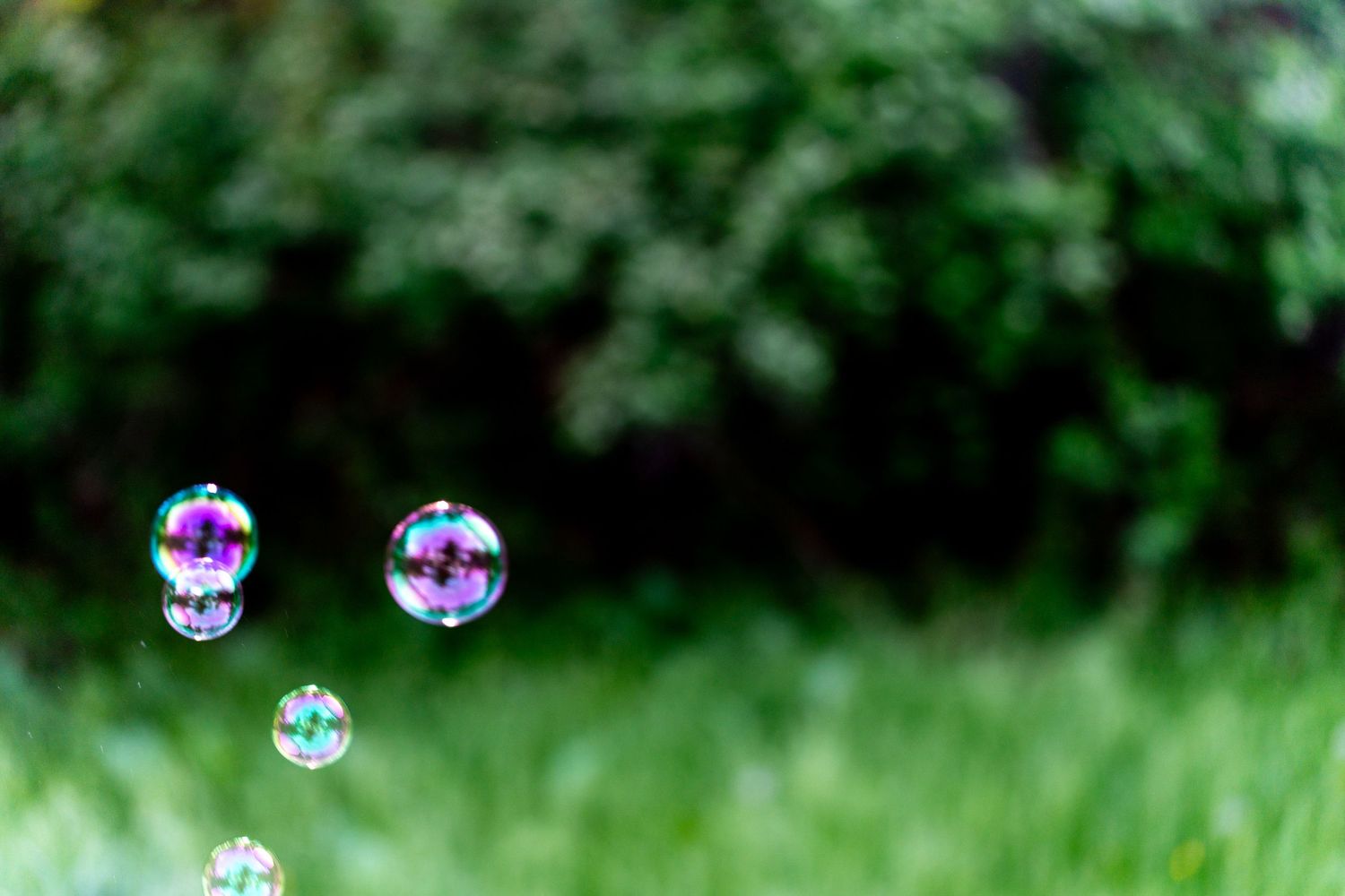 Colorful soap bubbles floating in the air against a lush green grass and tree background outdoors.