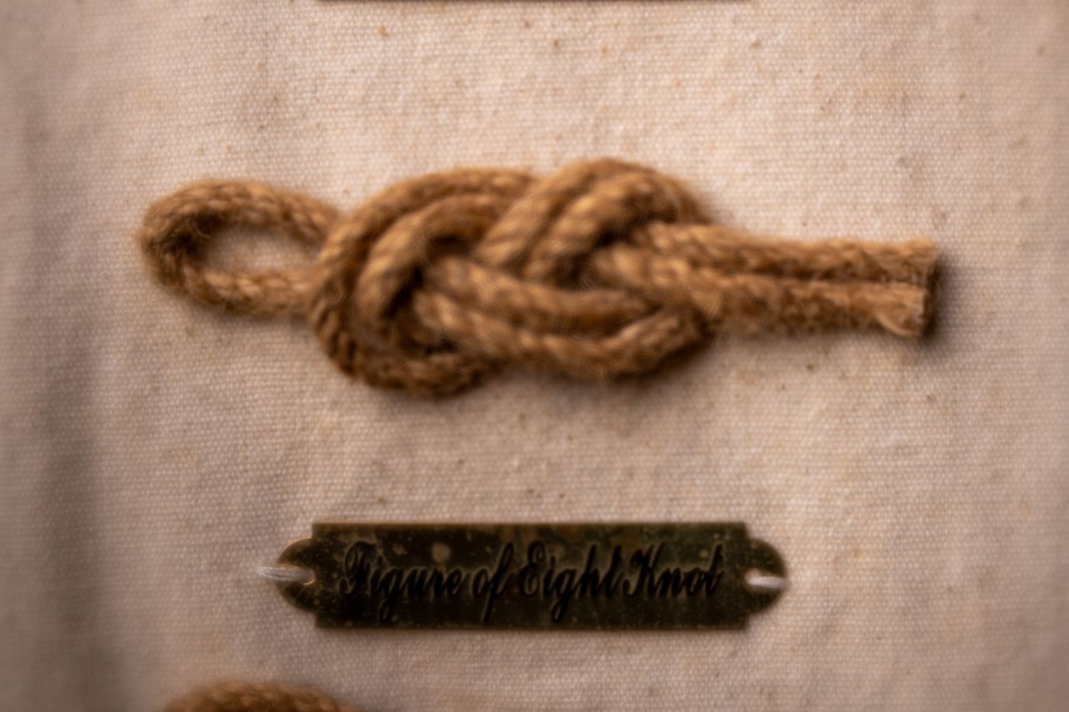 A Figure of Eight Knot tied in natural jute rope displayed on a linen background with a brass label.