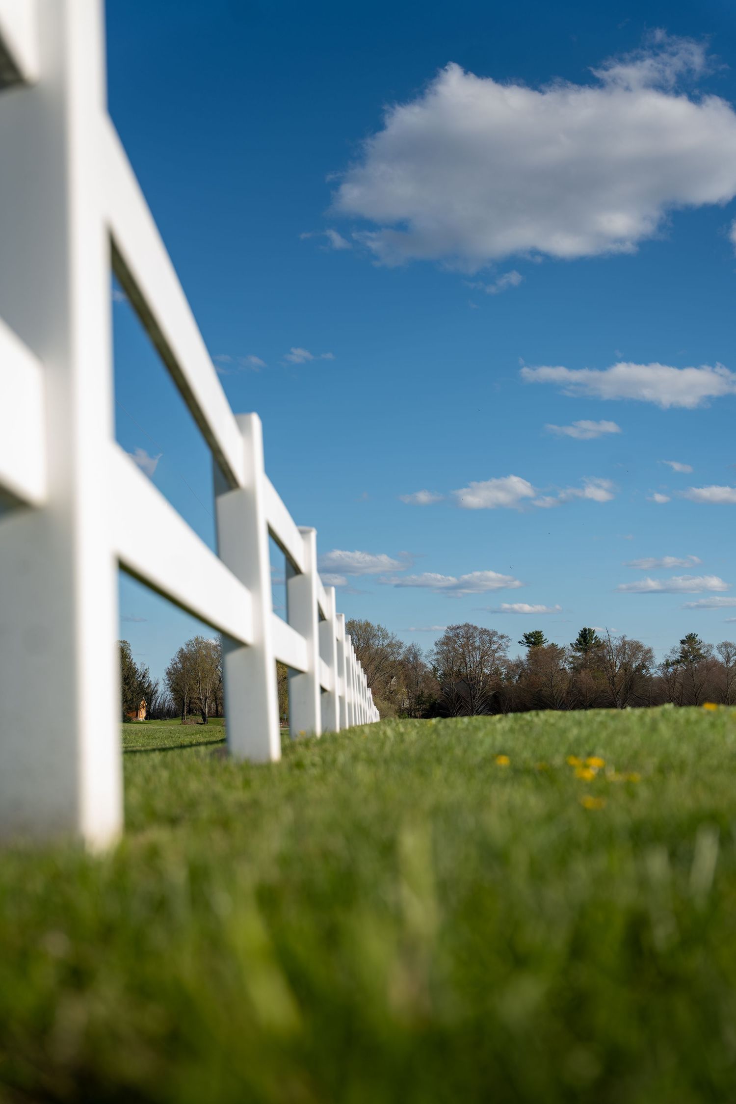 White wooden fence stretching across lush green field under bright blue sky with scattered clouds on sunny day.
