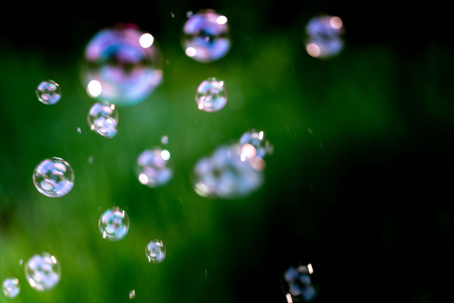 Colorful soap bubbles floating in the air against a vibrant green background in natural light.
