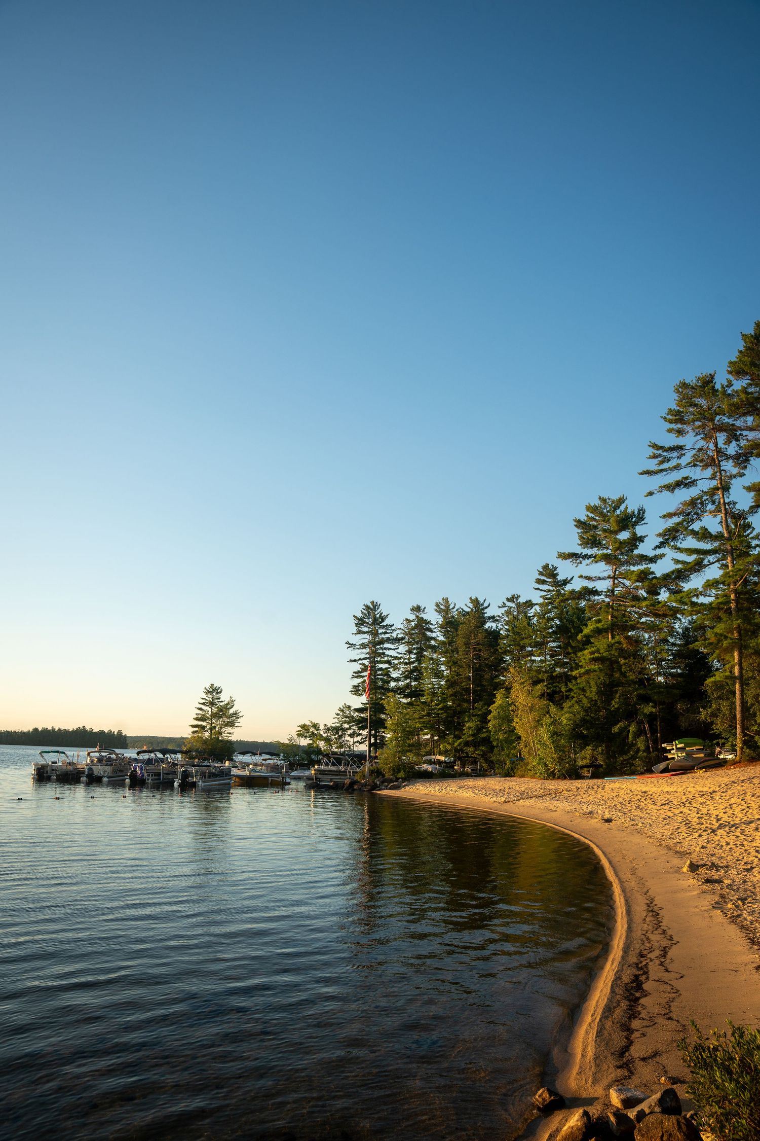 A curved sandy beach shoreline with tall pine trees and calm blue waters of a lake stretches into the distance.