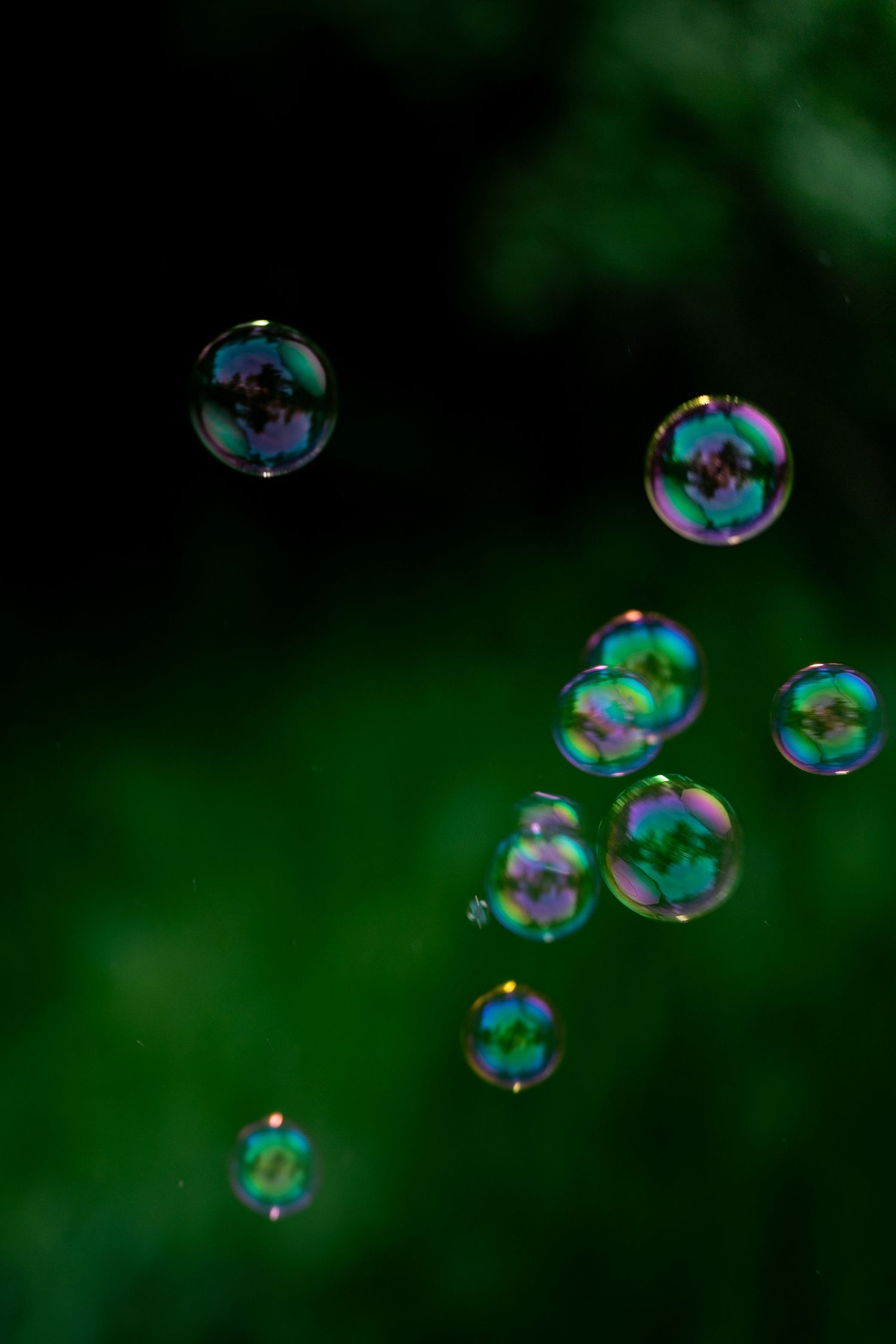 Colorful iridescent soap bubbles floating against a dark green bokeh background, reflecting rainbow hues.