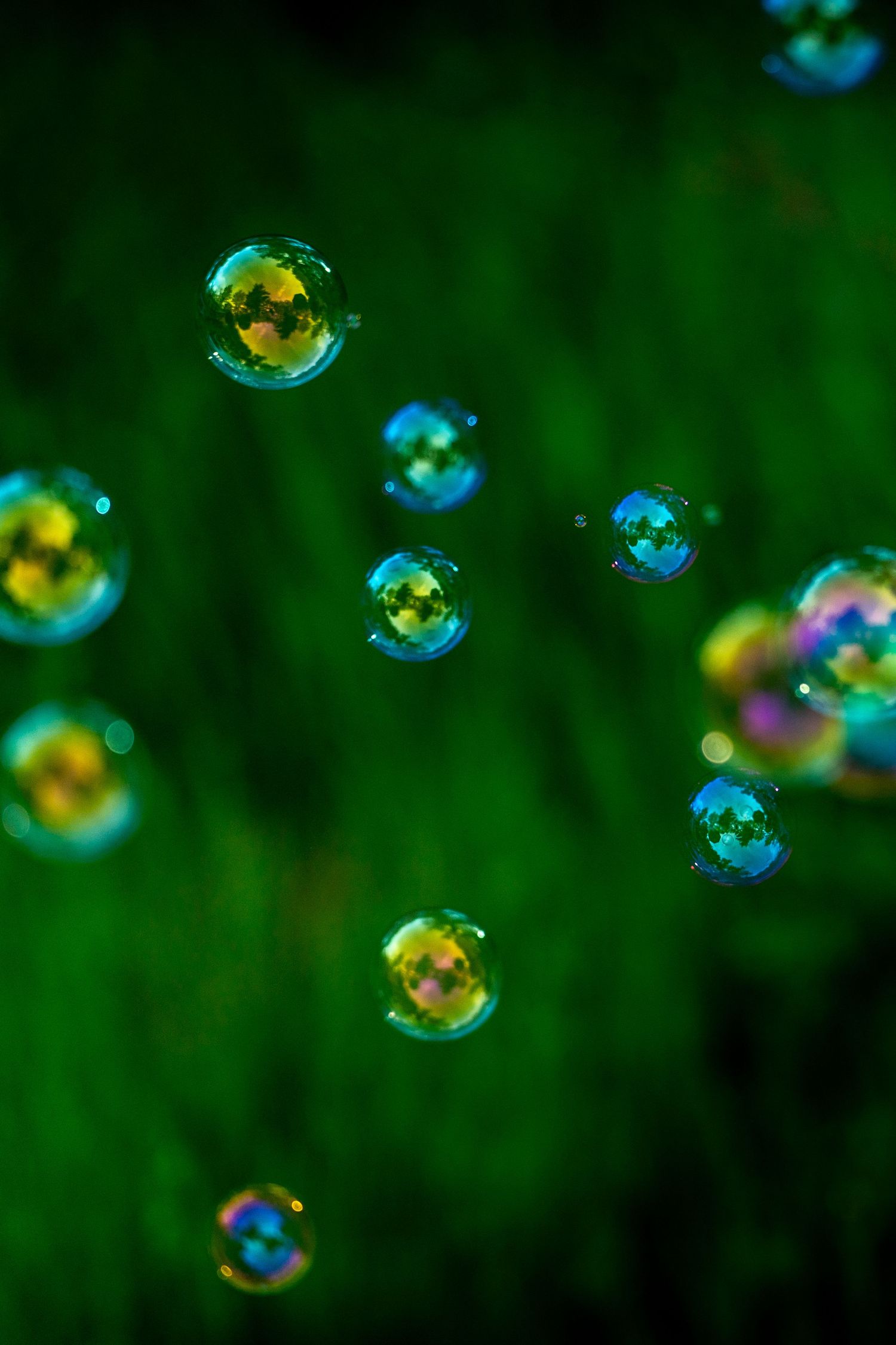 Colorful iridescent soap bubbles float against a vibrant green background, reflecting rainbow hues in the sunlight.