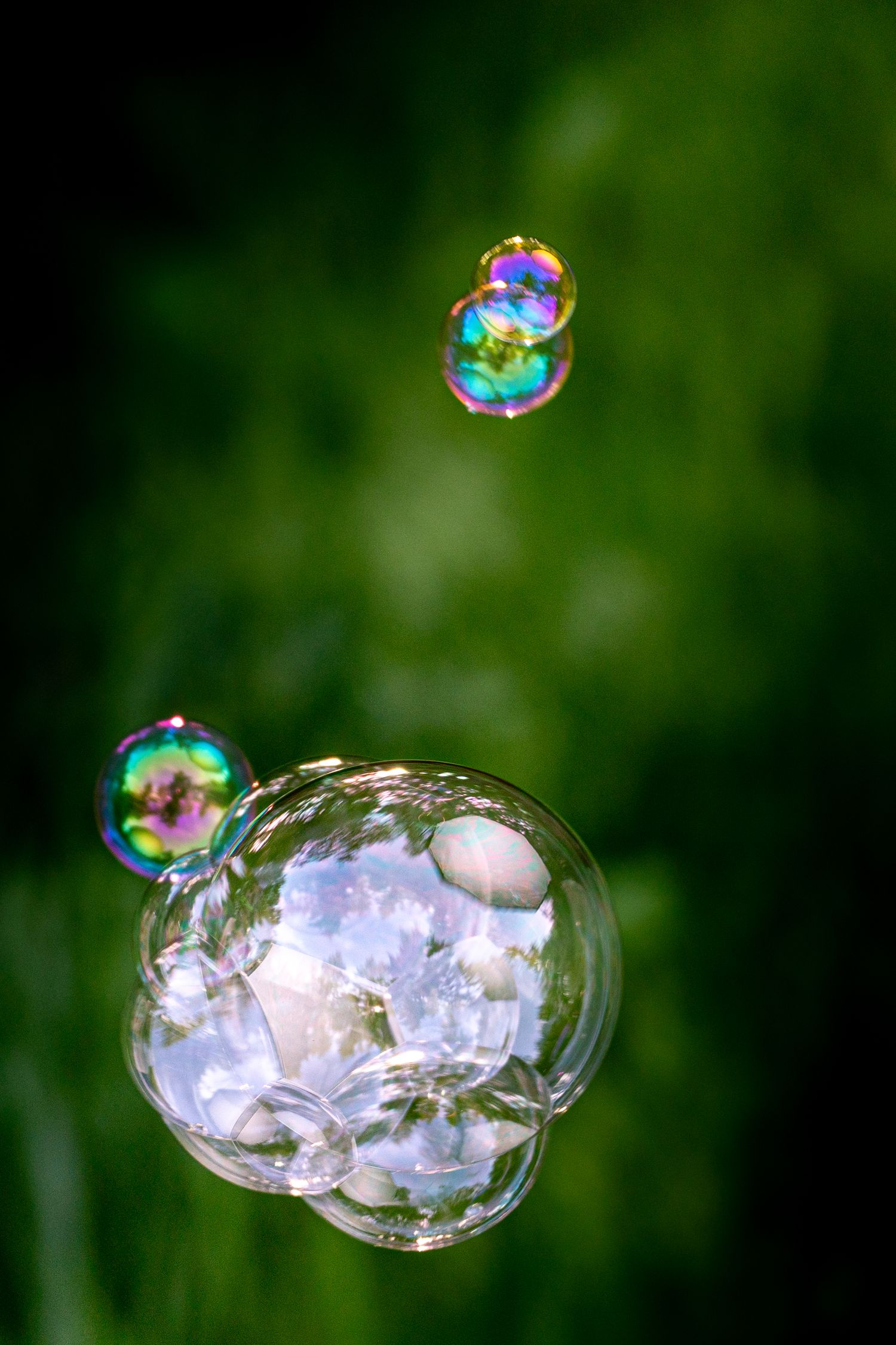 Colorful soap bubbles floating against a lush green background, reflecting light in iridescent rainbow hues.