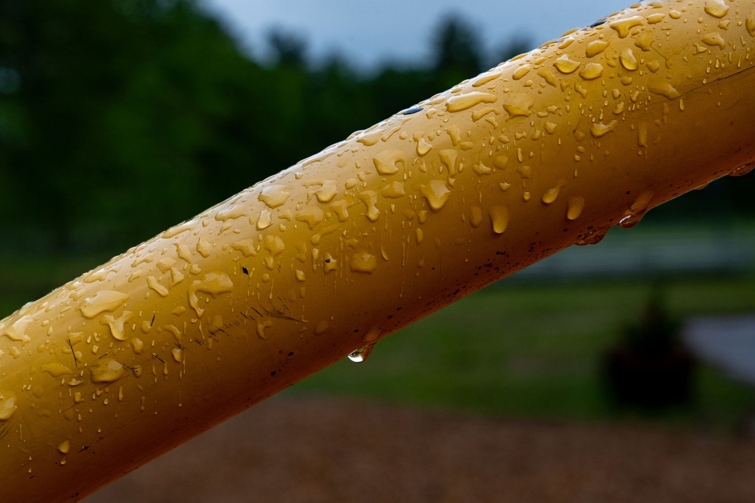 Close-up of a yellow metal railing covered in raindrops, with a blurred green park background.