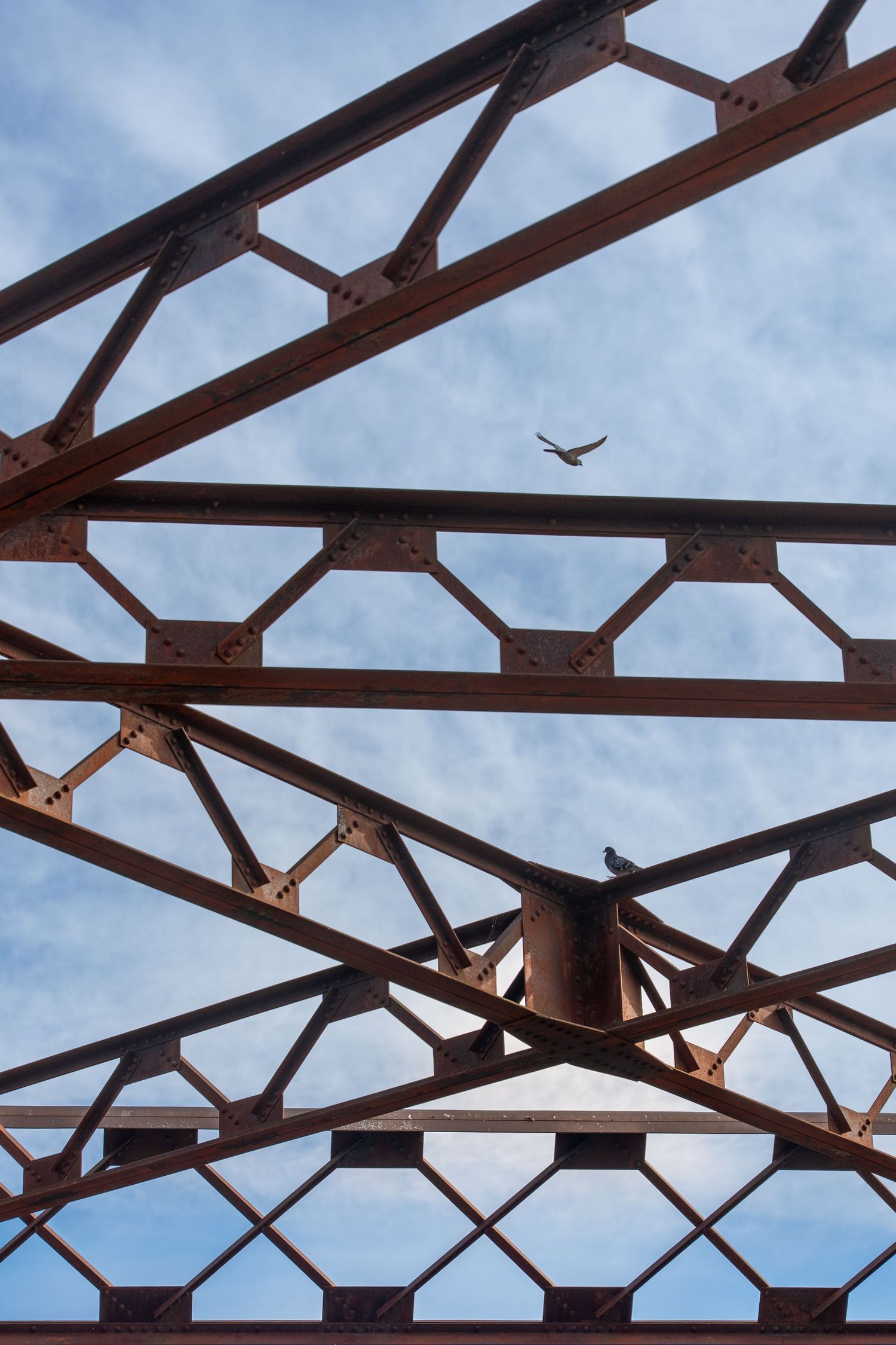 Rusty steel bridge truss structure against blue sky with a bird perched and another in flight.