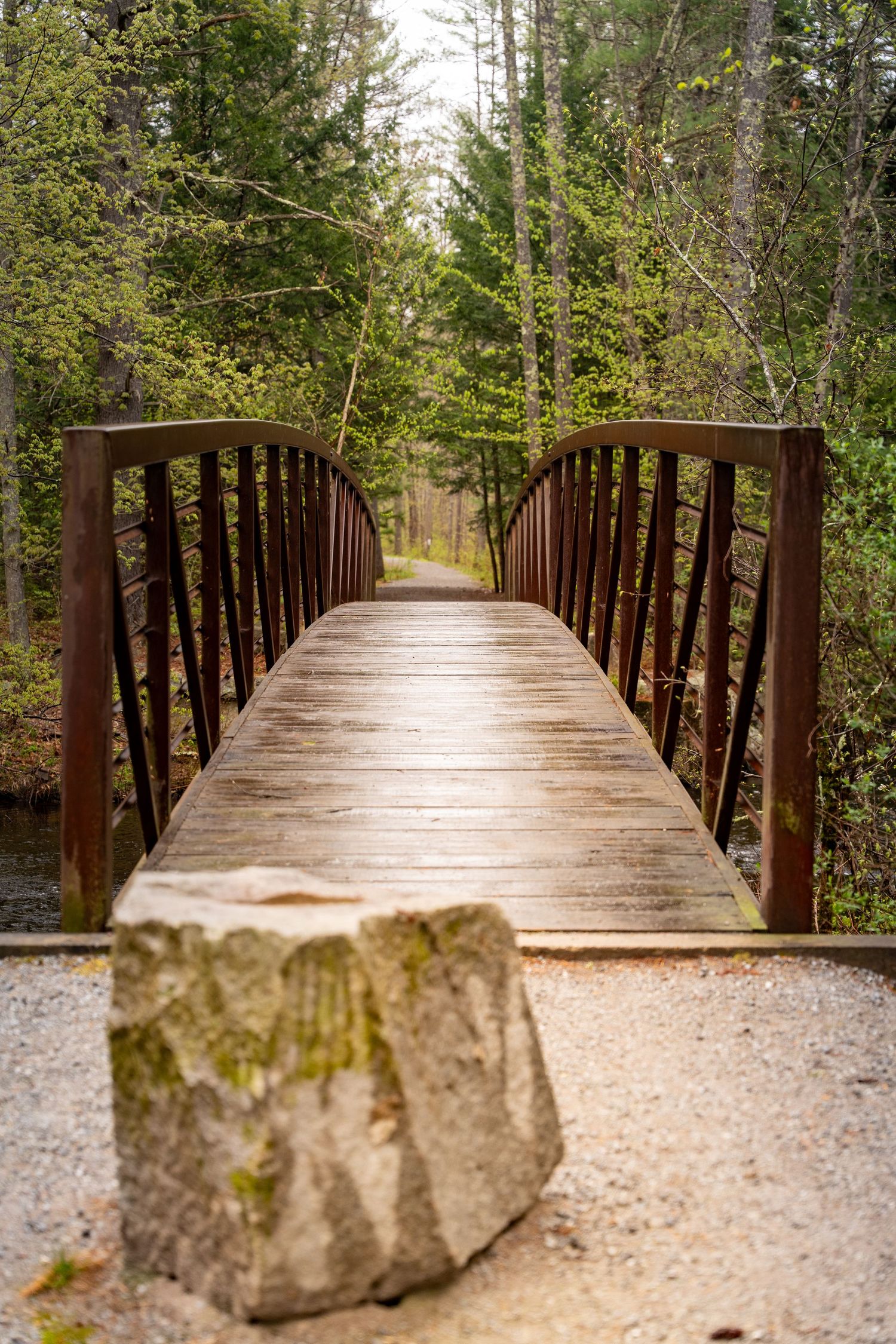 Wooden footbridge with metal railings leads through a lush green forest trail, with a stone boulder in the foreground.