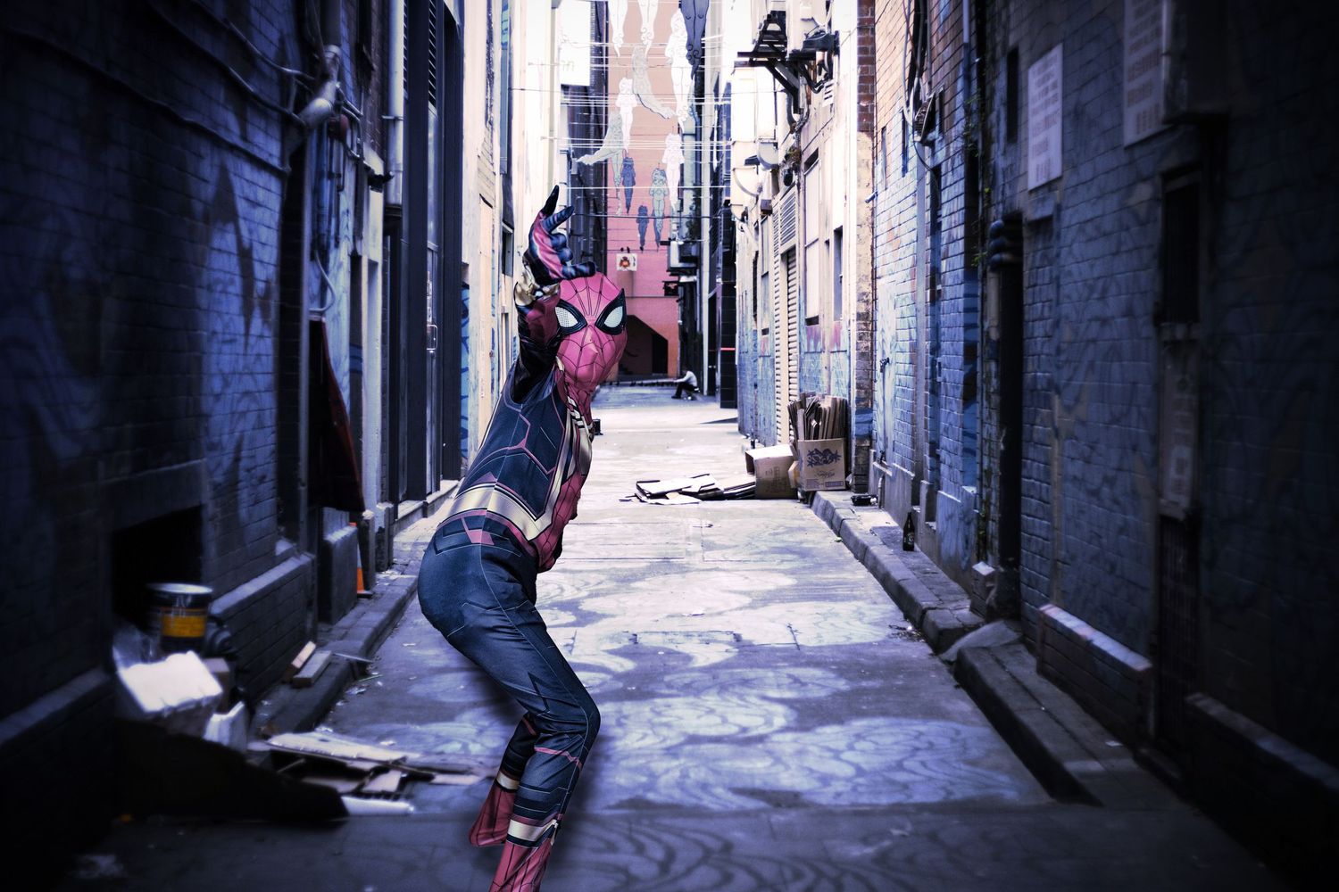 Narrow urban alley with graffiti-covered walls and bright pink butterfly decorations creating an artistic atmosphere.