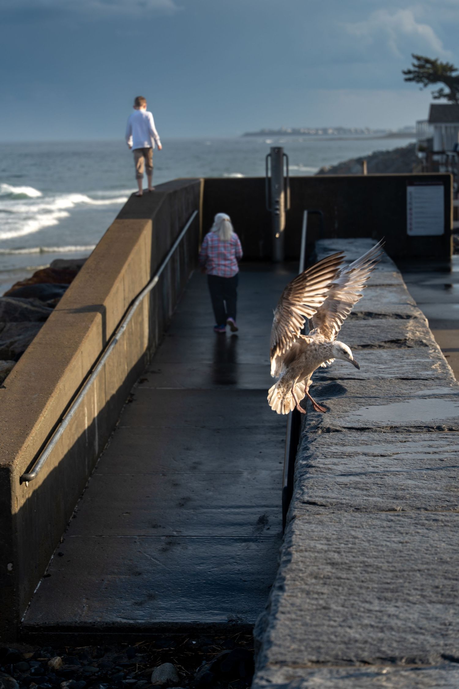 Seagull landing on a seaside pier wall with two people walking toward the ocean on a cloudy day.