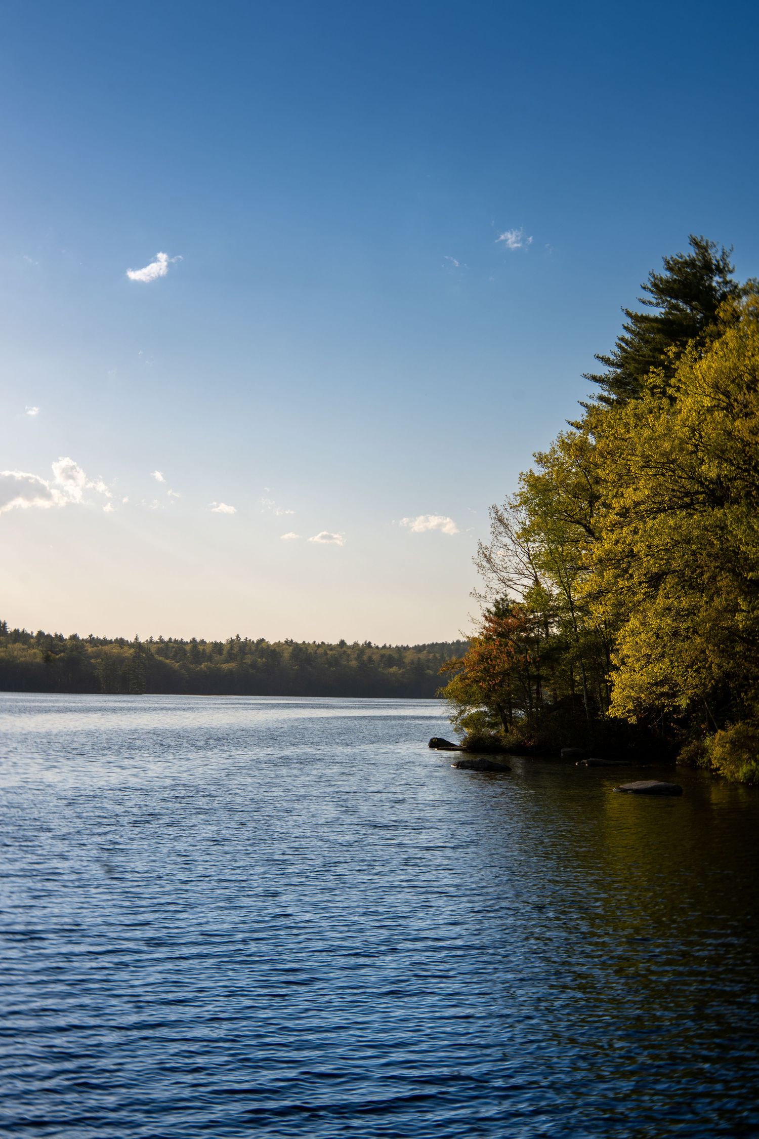Serene lake surrounded by autumn trees with yellow and green foliage under a clear blue sky.
