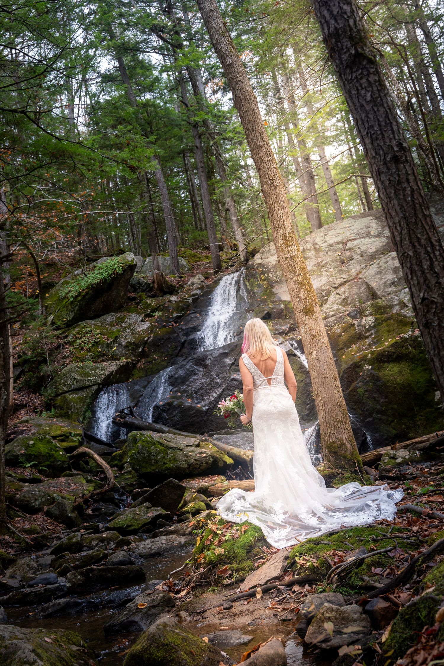 A scenic forest waterfall cascades over moss-covered rocks surrounded by tall pine trees in golden afternoon light.