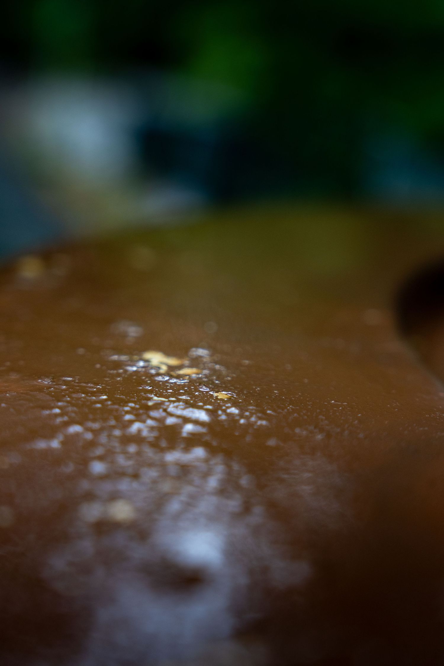 Close-up macro shot of a wet brown surface with glistening water droplets, blurred green foliage background.
