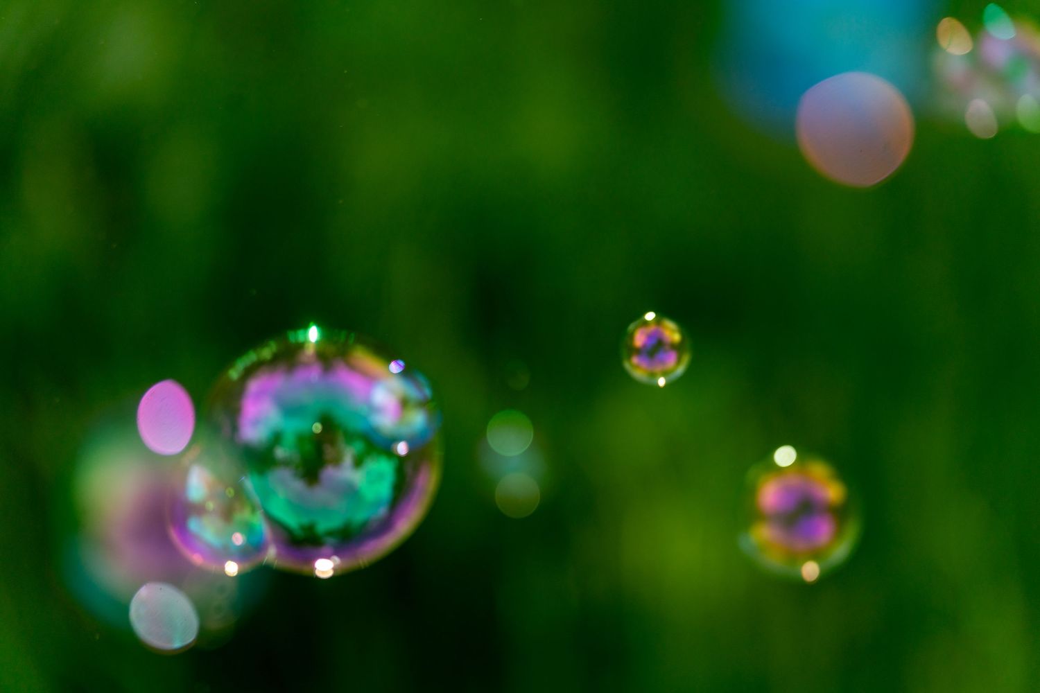 Colorful soap bubbles floating against a vibrant green bokeh background in natural outdoor light.