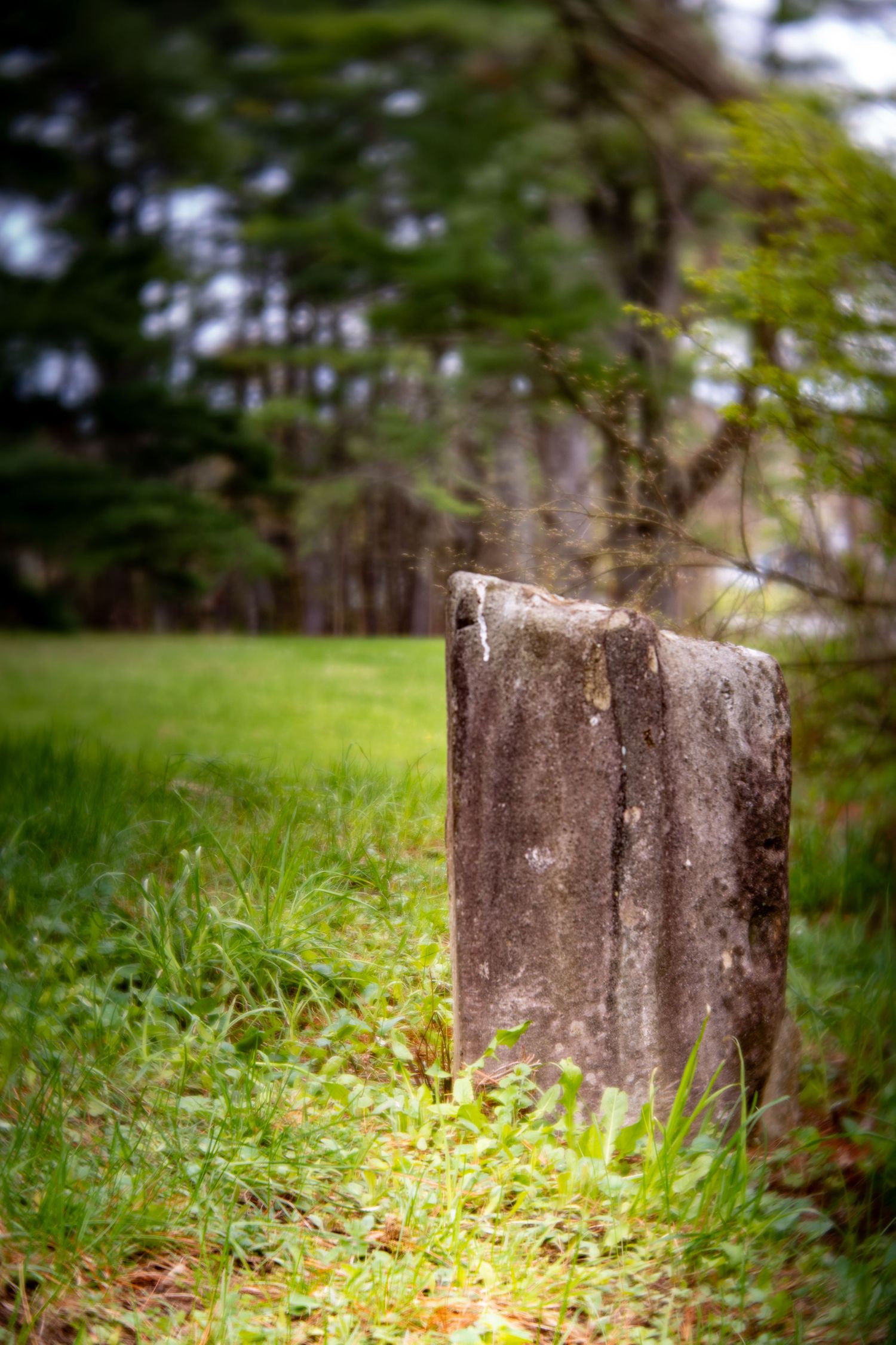 Weathered stone grave marker standing in lush green grass with blurred trees in background.