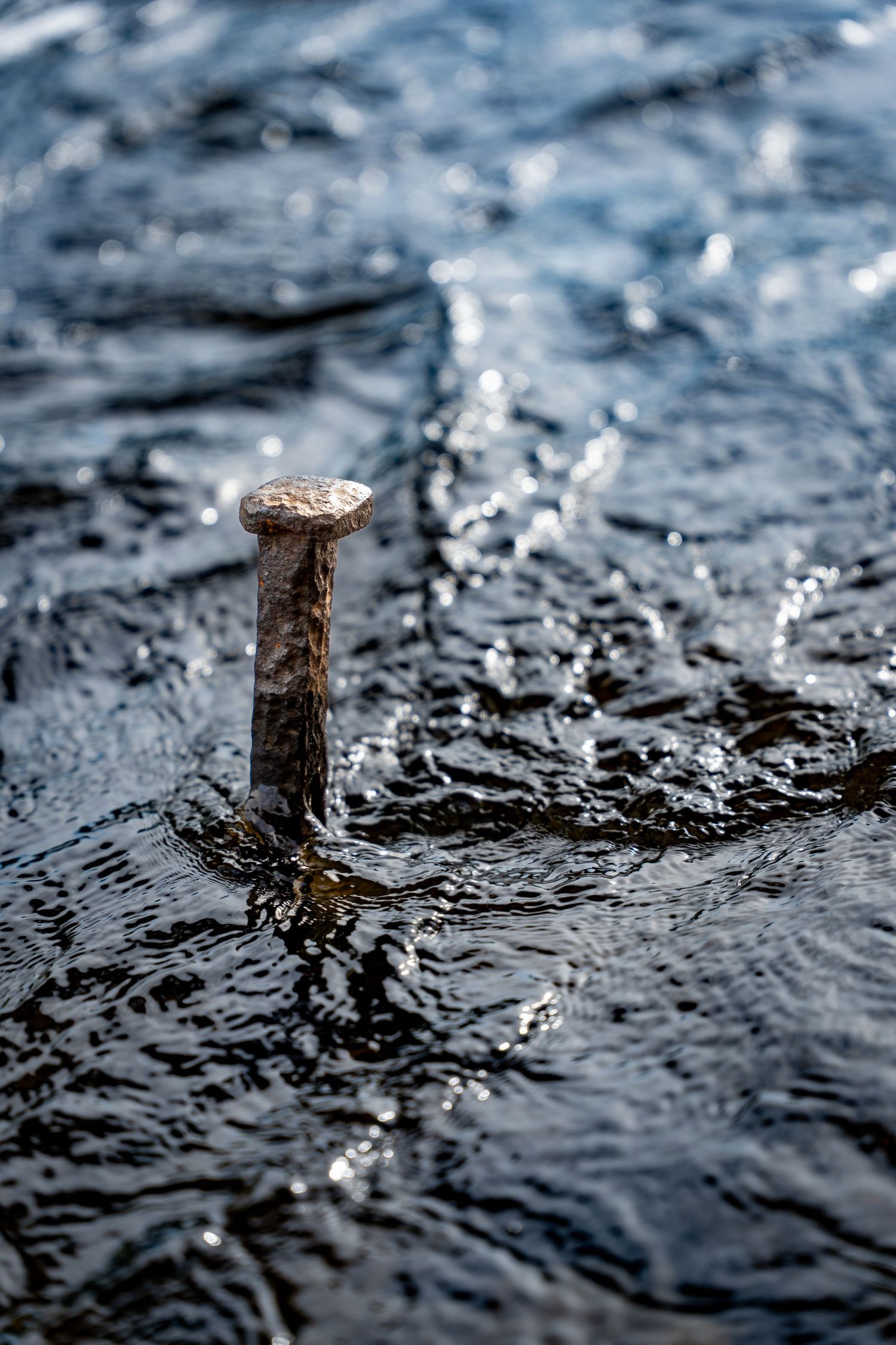 A rusty metal nail standing upright in dark flowing water with light reflections on the surface.