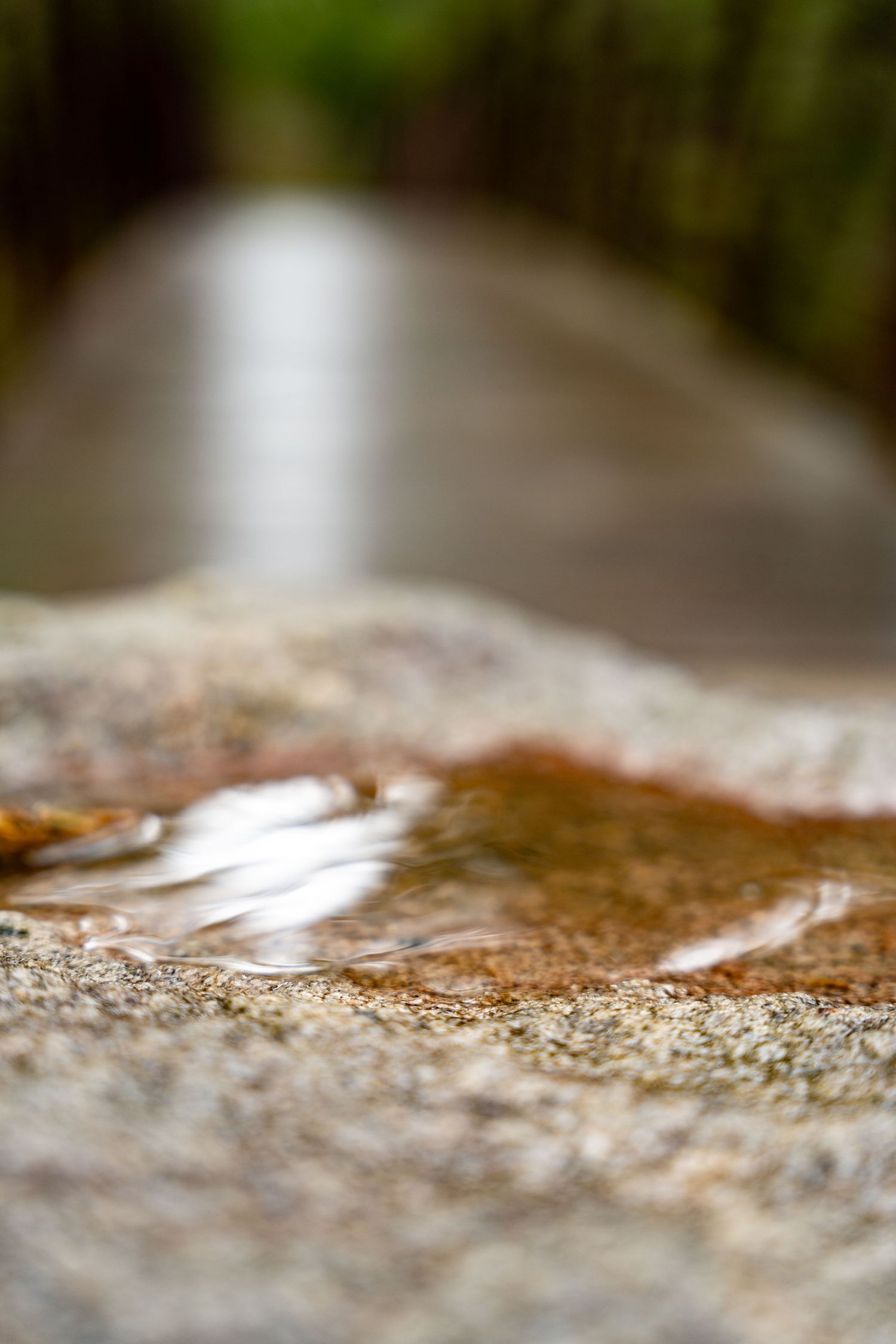 Close-up of a shallow rain puddle on a granite rock surface with a blurred forest path in the background.