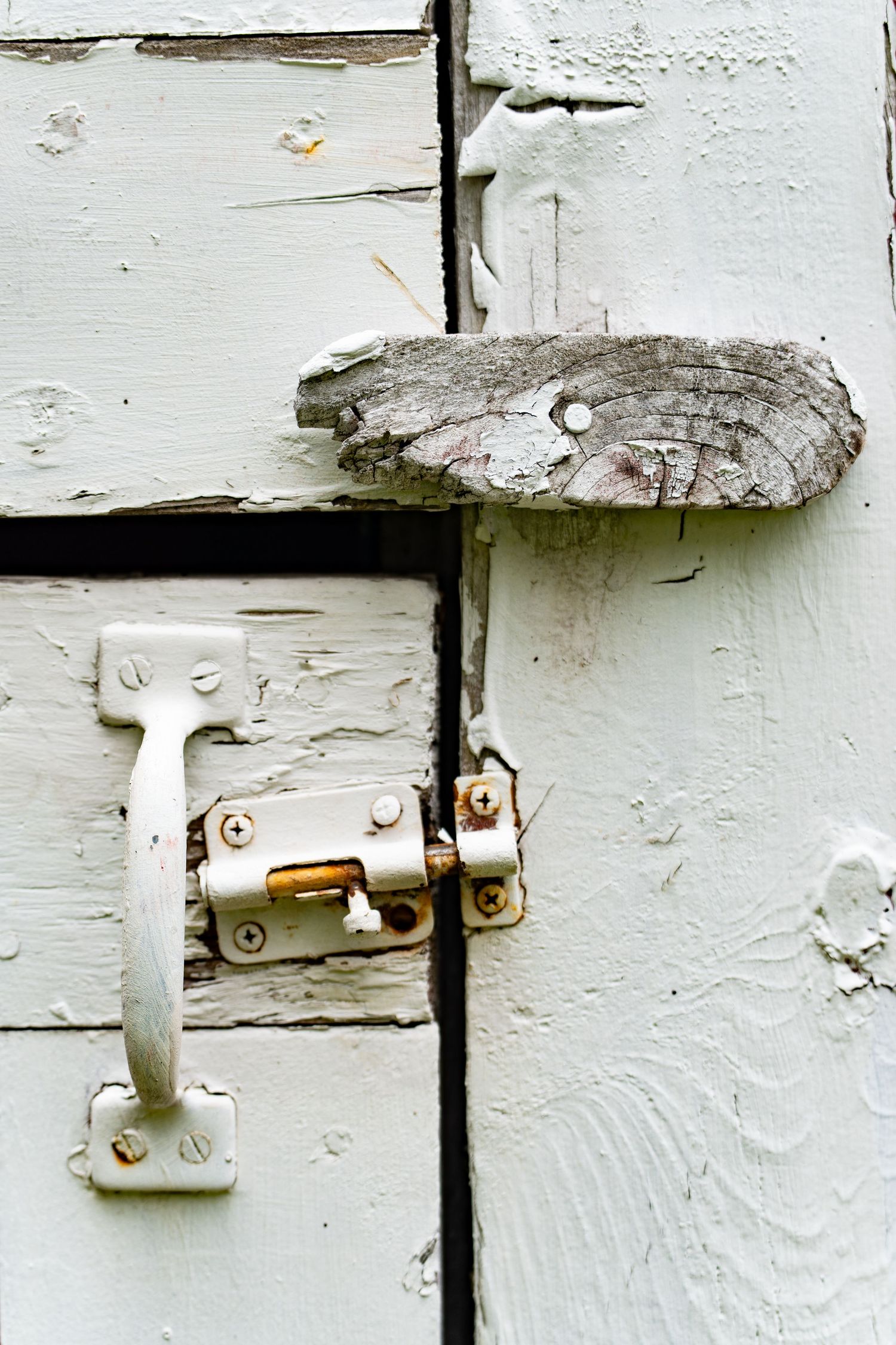 Close-up of a weathered white wooden door with peeling paint, featuring a rusty metal latch and bolt lock mechanism.