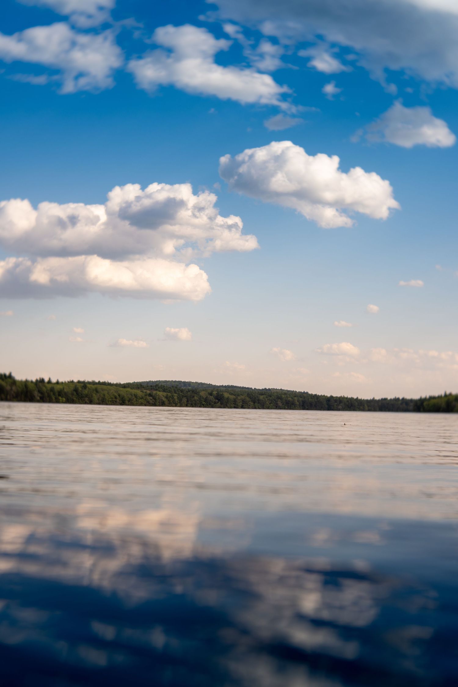 Calm lake reflecting white clouds in a blue sky, with a dense green forest treeline on the horizon on a sunny day.