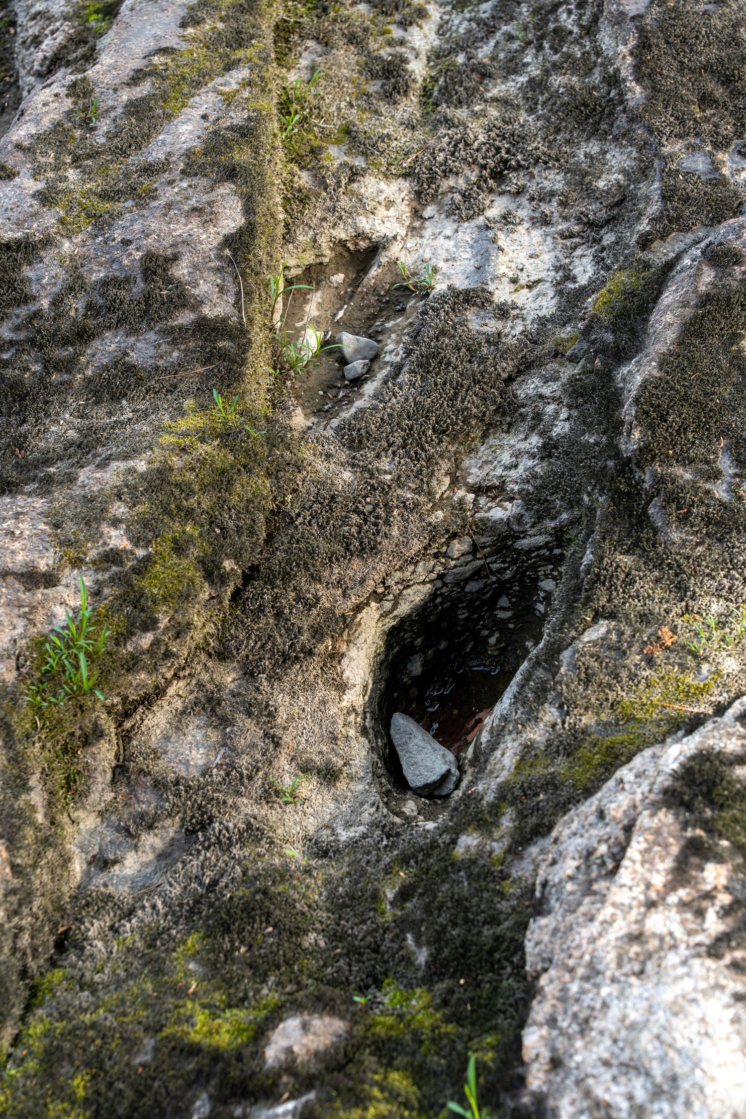 Close-up of weathered limestone rock with moss, small cave opening, and natural erosion patterns in sunlight.