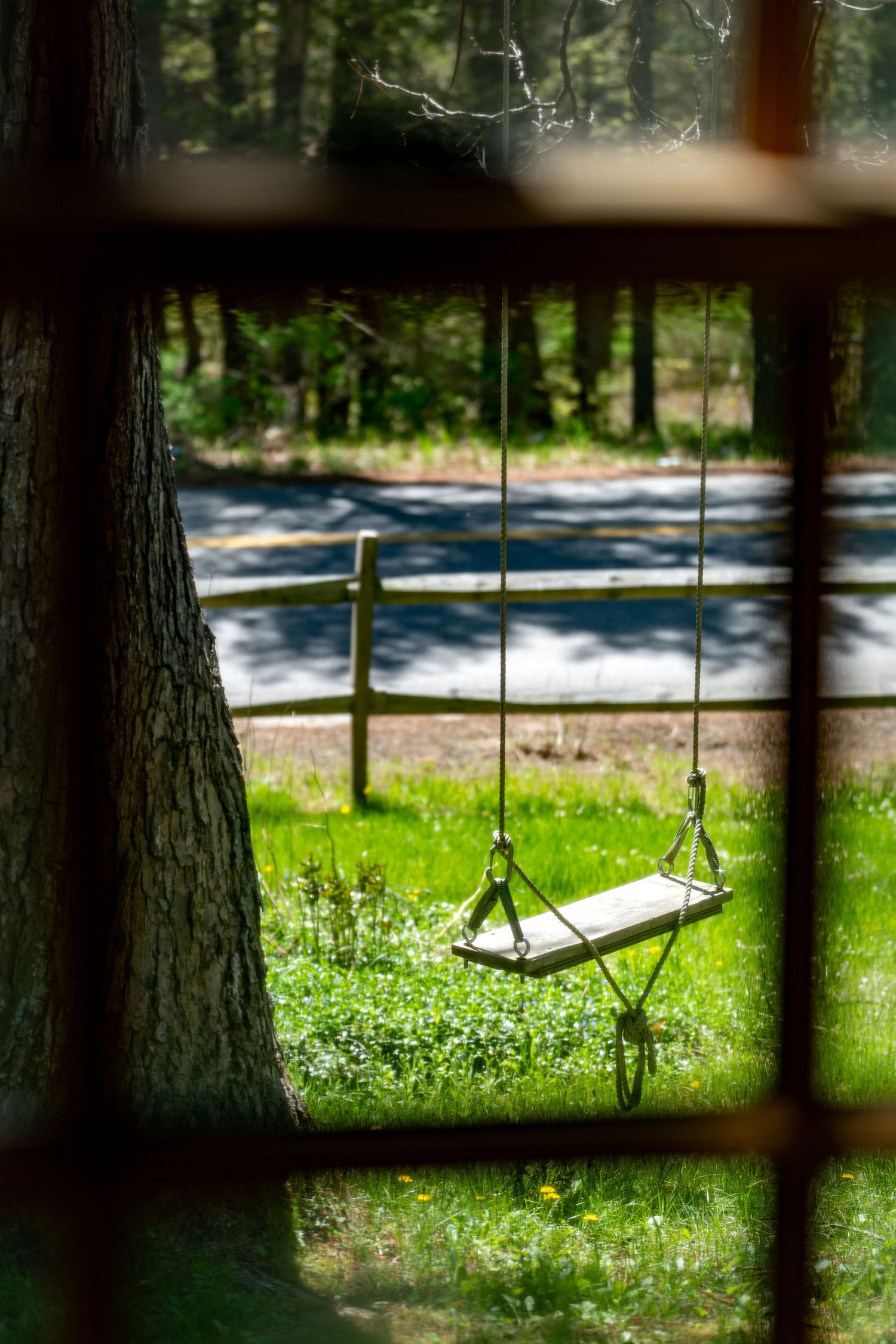 A wooden tree swing hangs from a large tree, viewed through a window, with green grass and a road in the background.