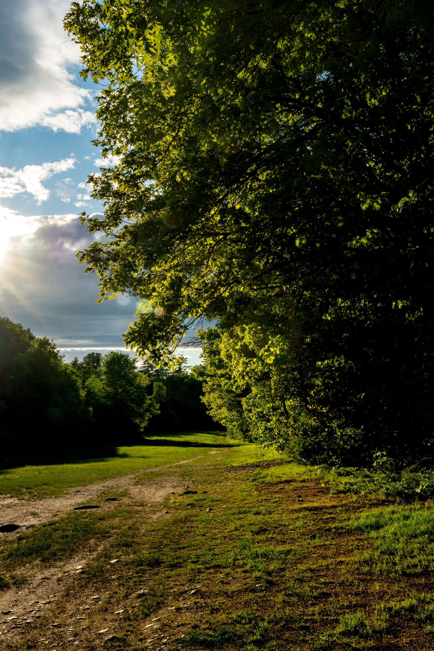 Sunlit dirt path beside tall green trees with dramatic clouds and sun rays in a lush countryside landscape.